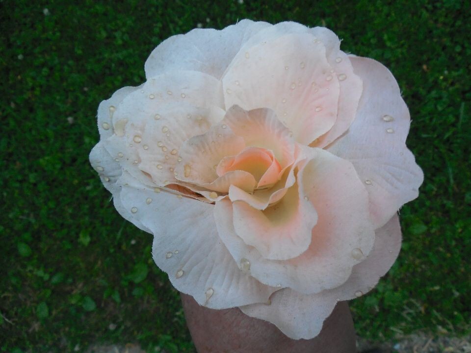 5″ Diameter Peach Color Rose Artificial Flower Floral Decor Decorative w/ Stem