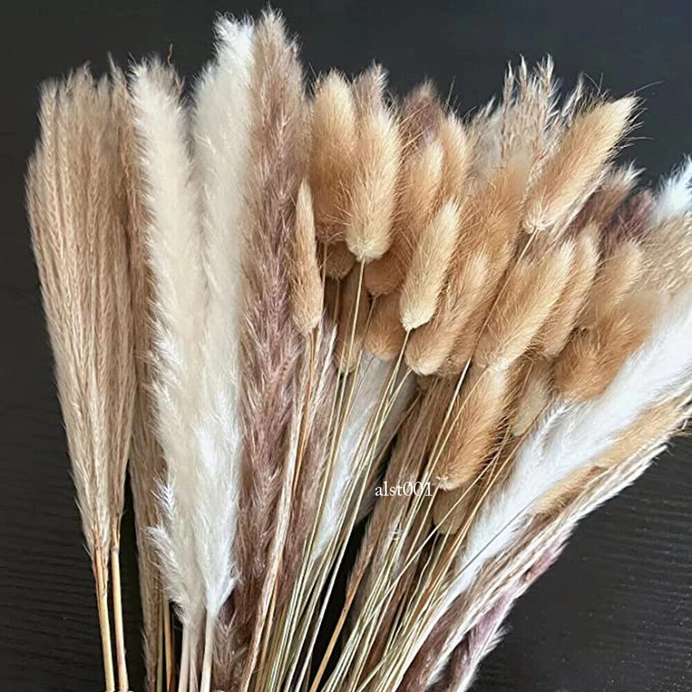 Grass Decor Home Decor Bouquet Natural Fluffy Dried Flowers for Wedding Floral