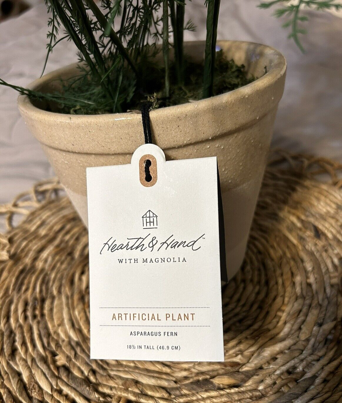 Hearth and Hand with Magnolia Artificial Faux Potted Plants Asparagus Fern