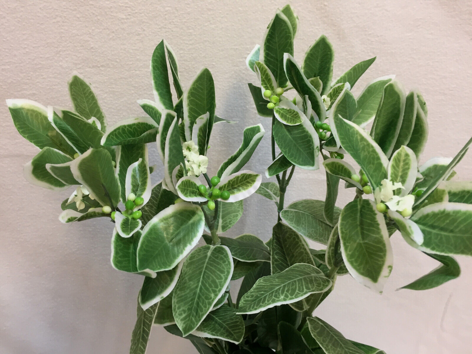 Euphorbia Branch Stems 25″ Artificial Variegated Green White Lot of 4