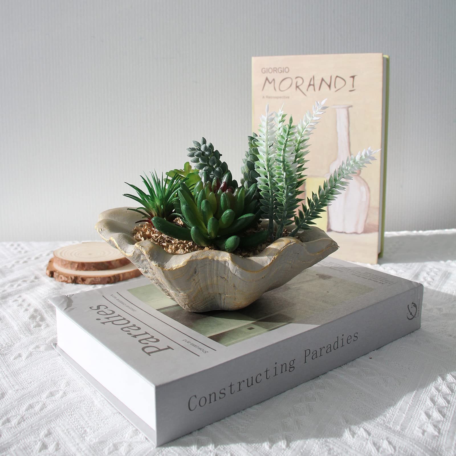 Resin Decorative artificial succulent arrangement in shell-shaped planter