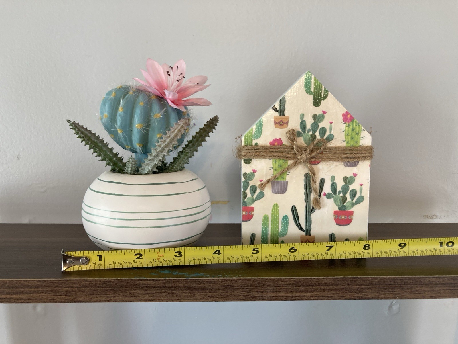 Succulent Tabletop Decor
