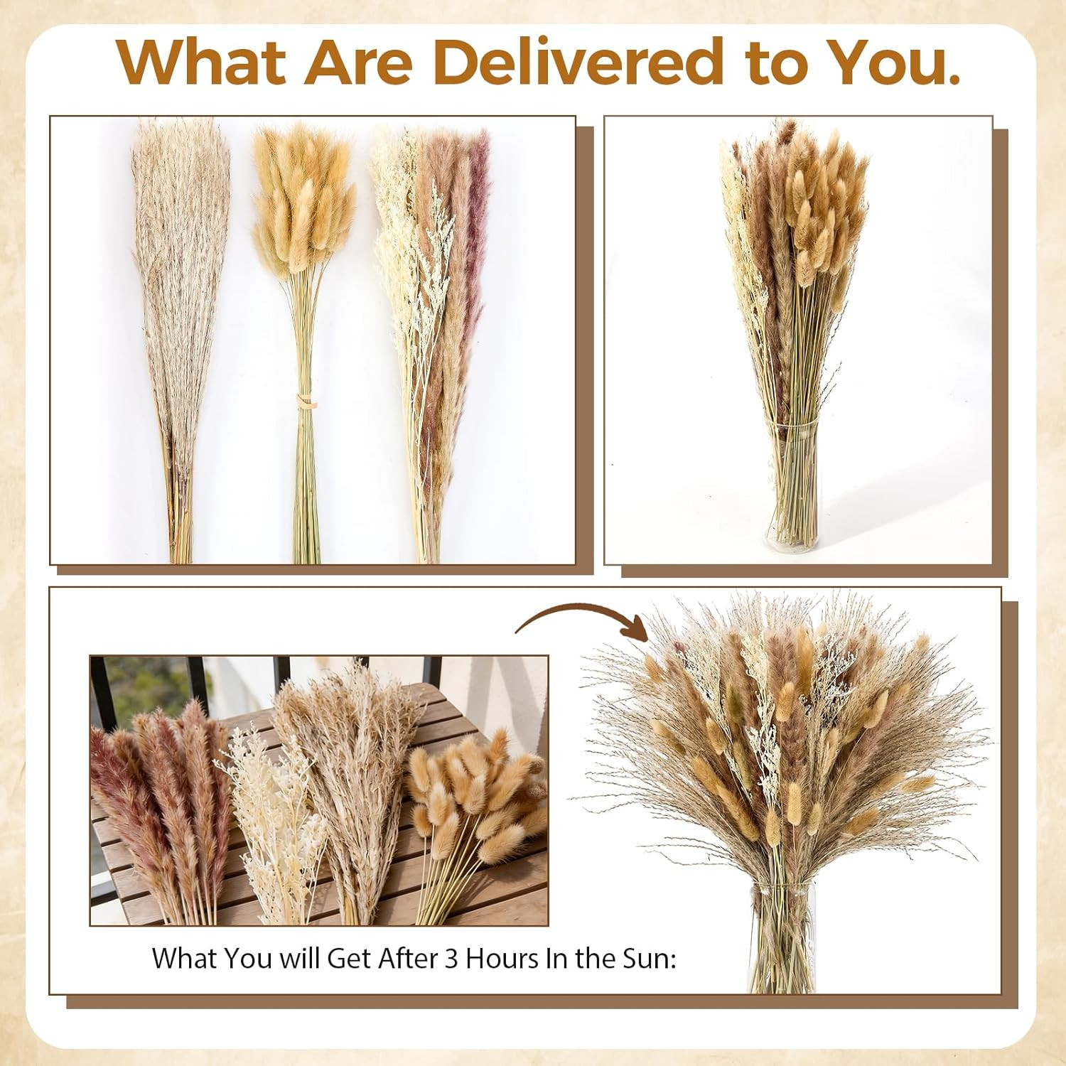 Pampas Grass Decor, Dried Flowers Bouquet for Boho Home Farmhouse Decor | Arrang