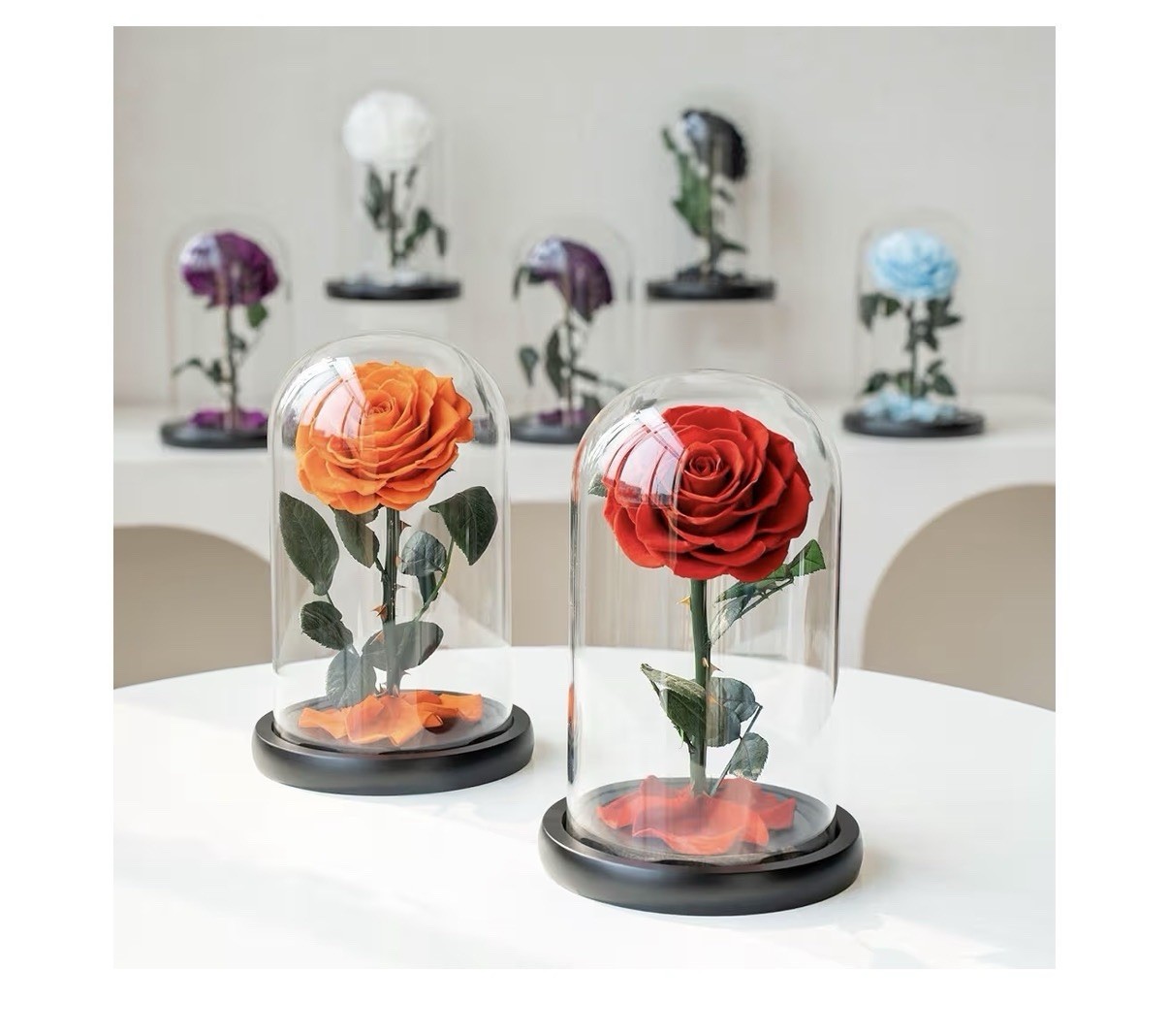Haigivt Preserved Blue Rose Arrangement in Glass Dome 8.7″ x 5.5″ Floral Decor