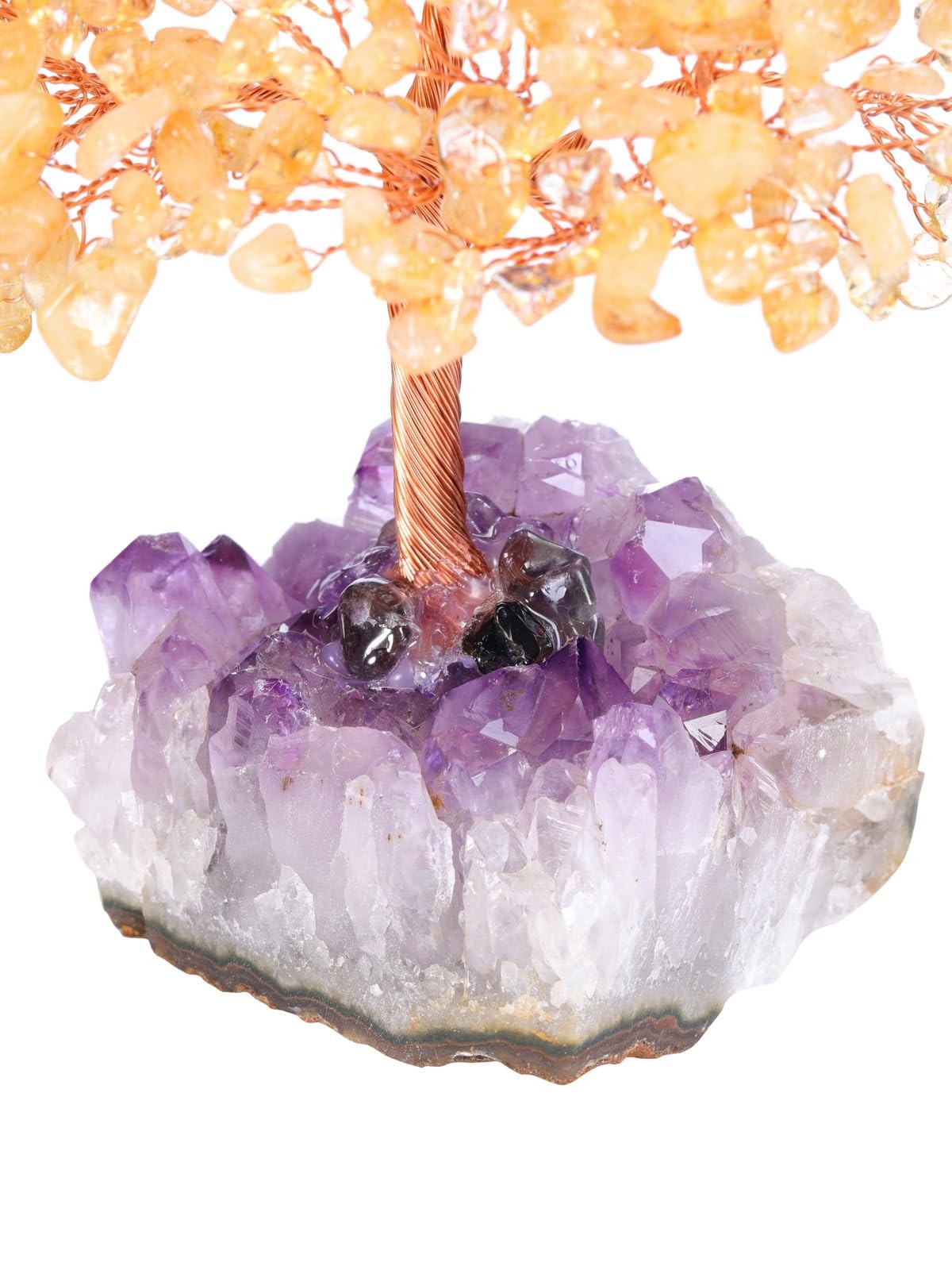 Natural Citrine Healing Crystal Money Tree on Amethyst Cluster Geode Druzy Ba…