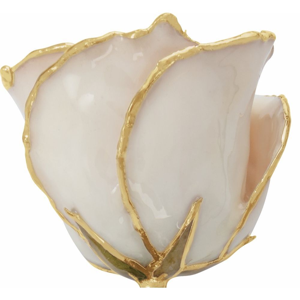 24k Gold Dipped White Lacquer Real Rose Valentine’s Day Holiday Gift