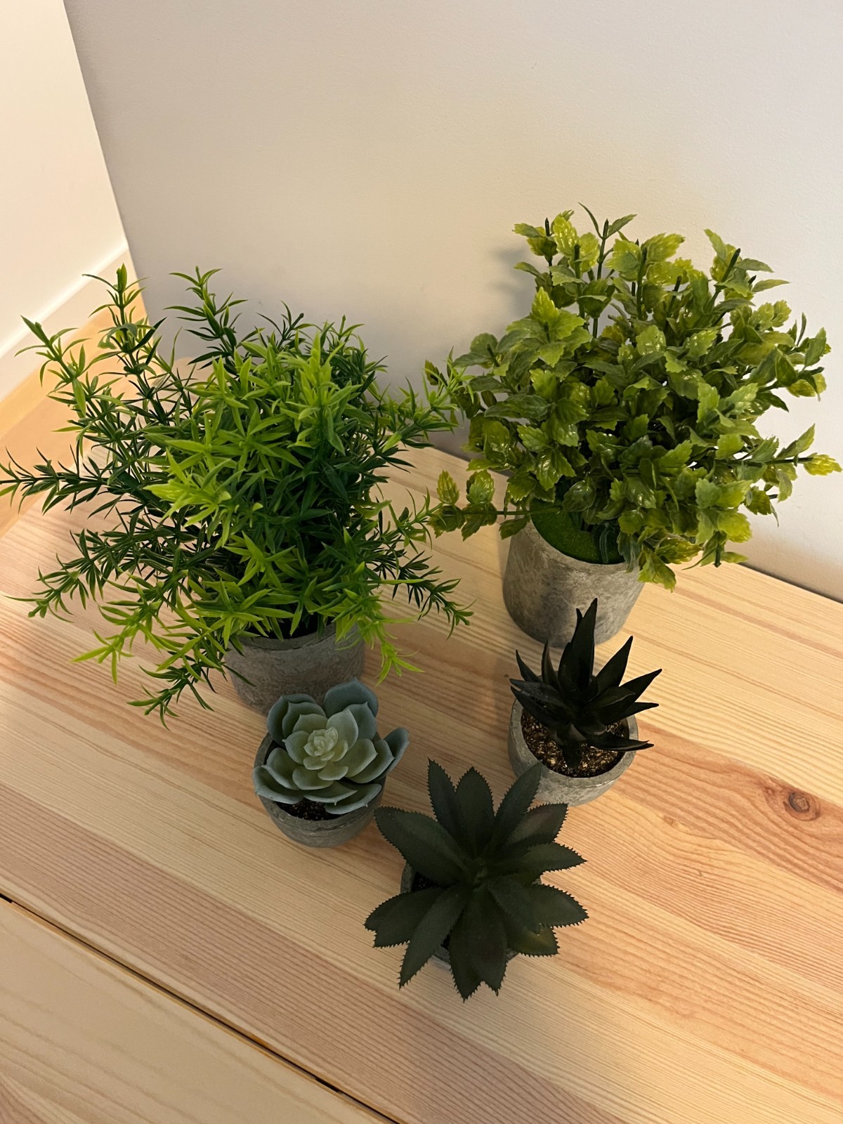 Memeaty Set of 5 Small Artificial Plants | Fake Rosemary Peppermint Succulents