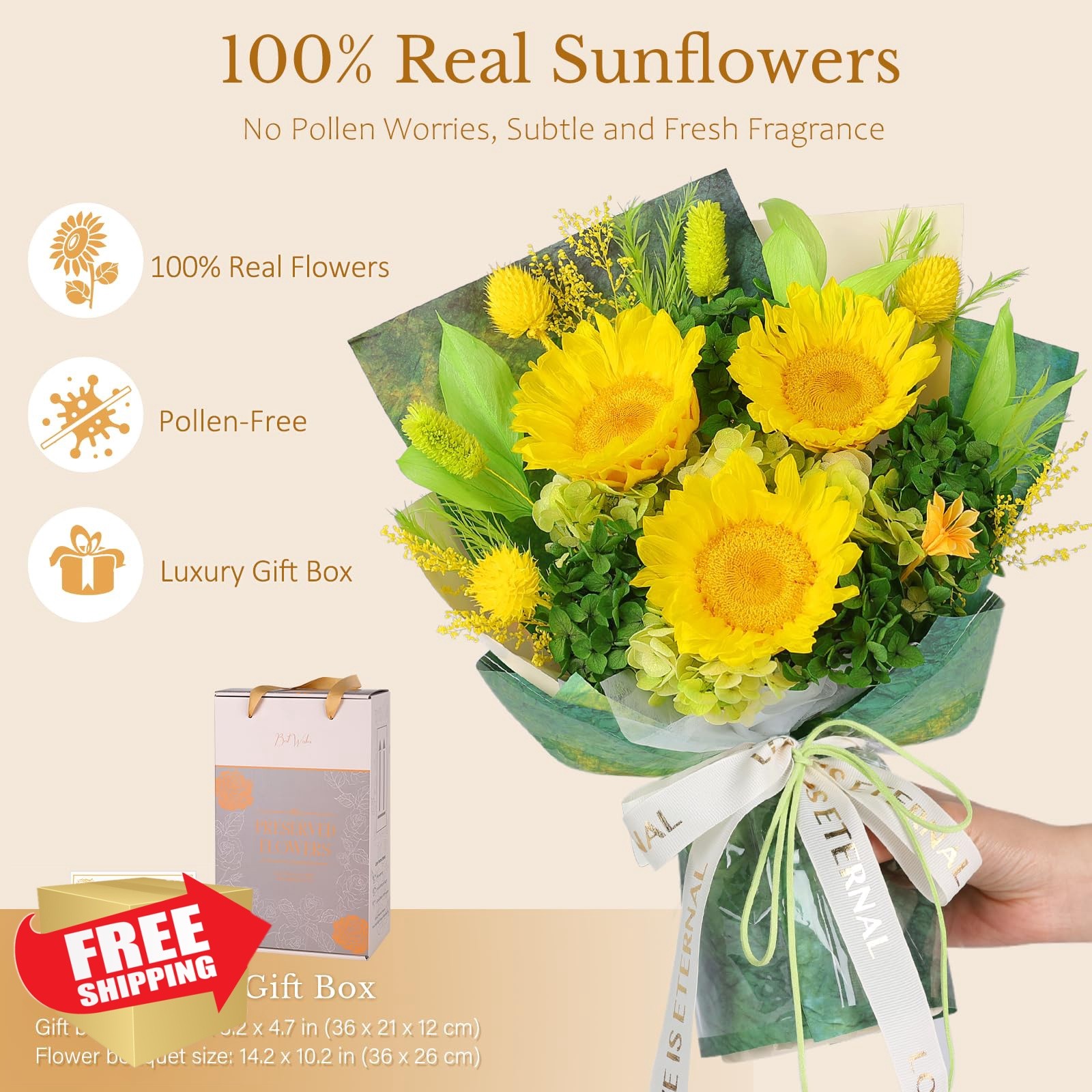 MAMAMIKO Preserved Sunflower Green