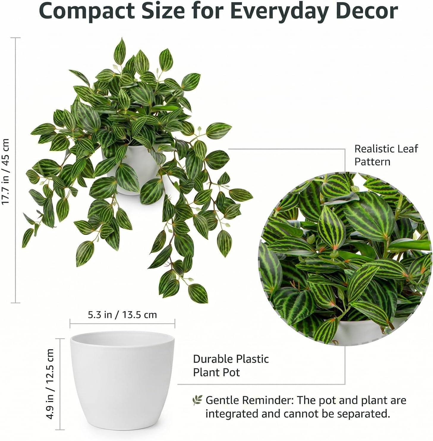 17.7″ Faux Watermelon Peperomia Plant in White Pot – Realistic Indoor Greenery