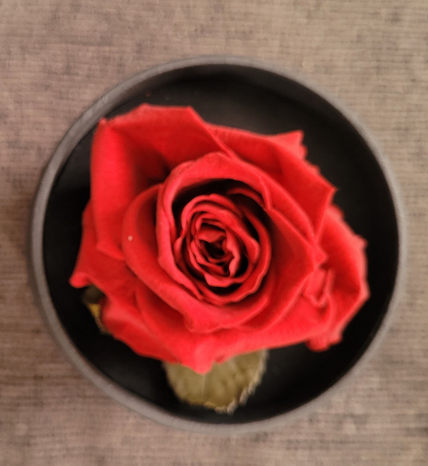 Eternal Rose, Handmade In Poland- Beautiful!