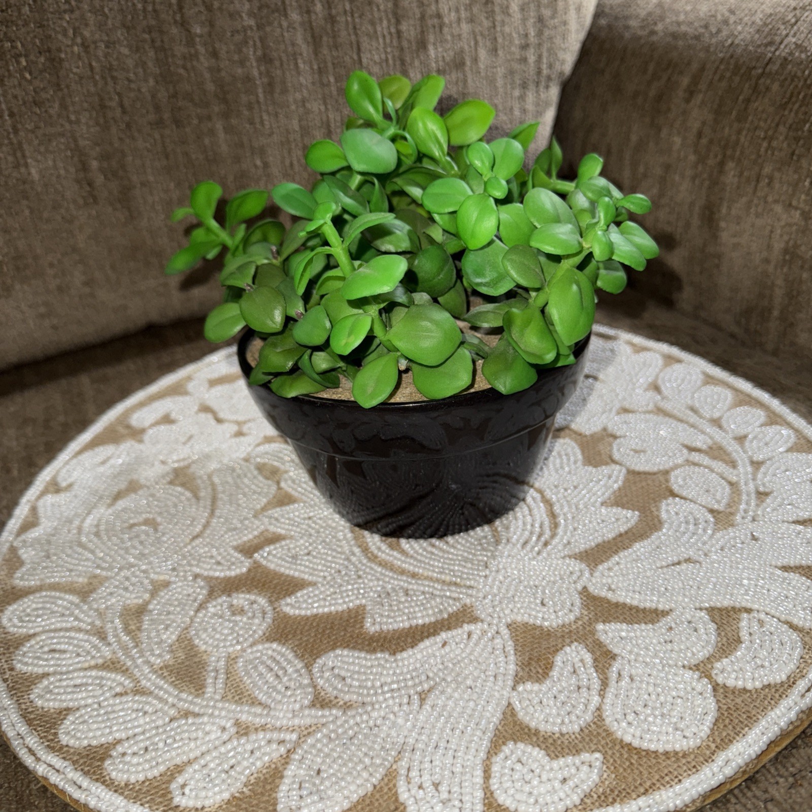 3x6black Pot With Faux Plant