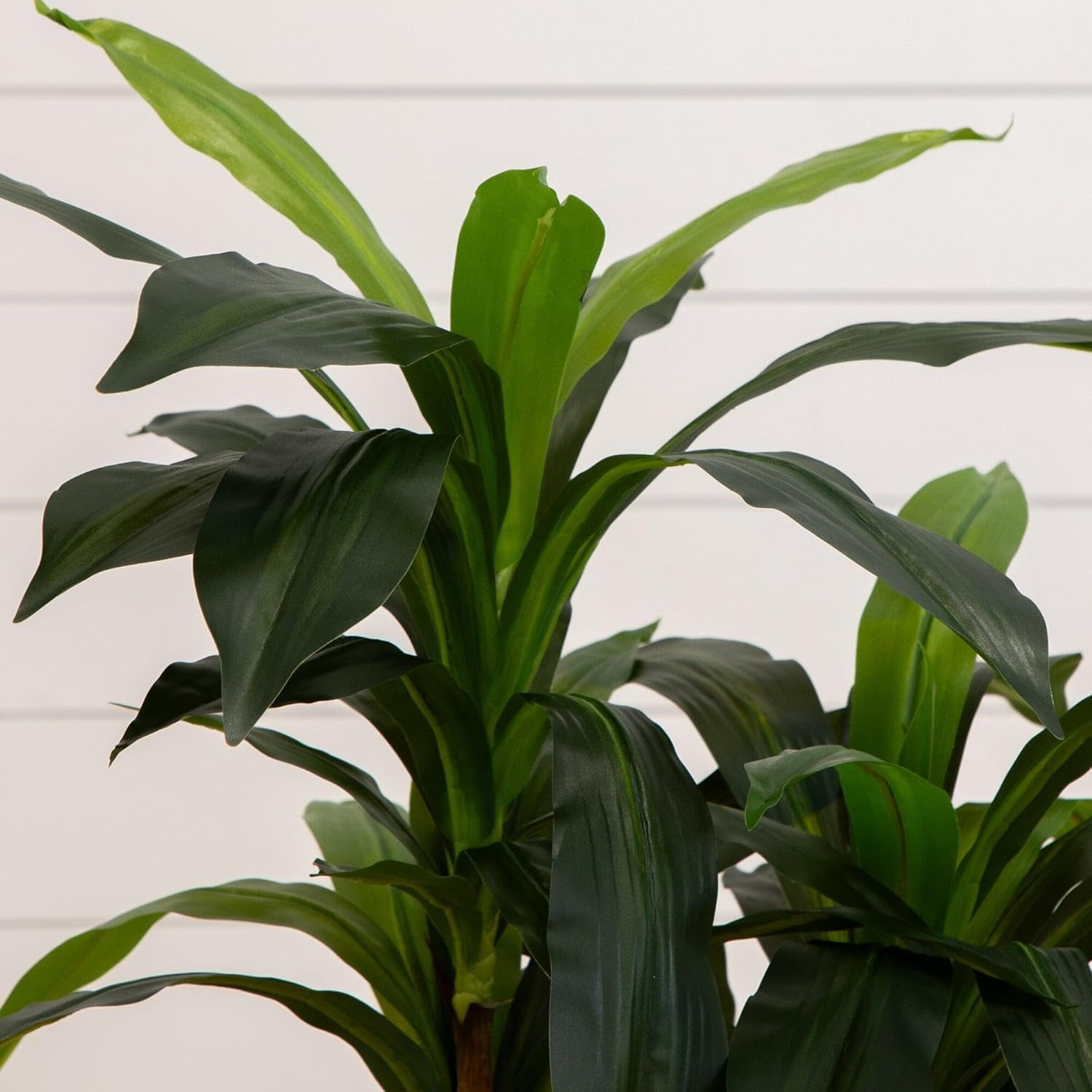 Nearly Natural 48In Artificial Dracaena Plant with Real Touch Leaves and Multi T