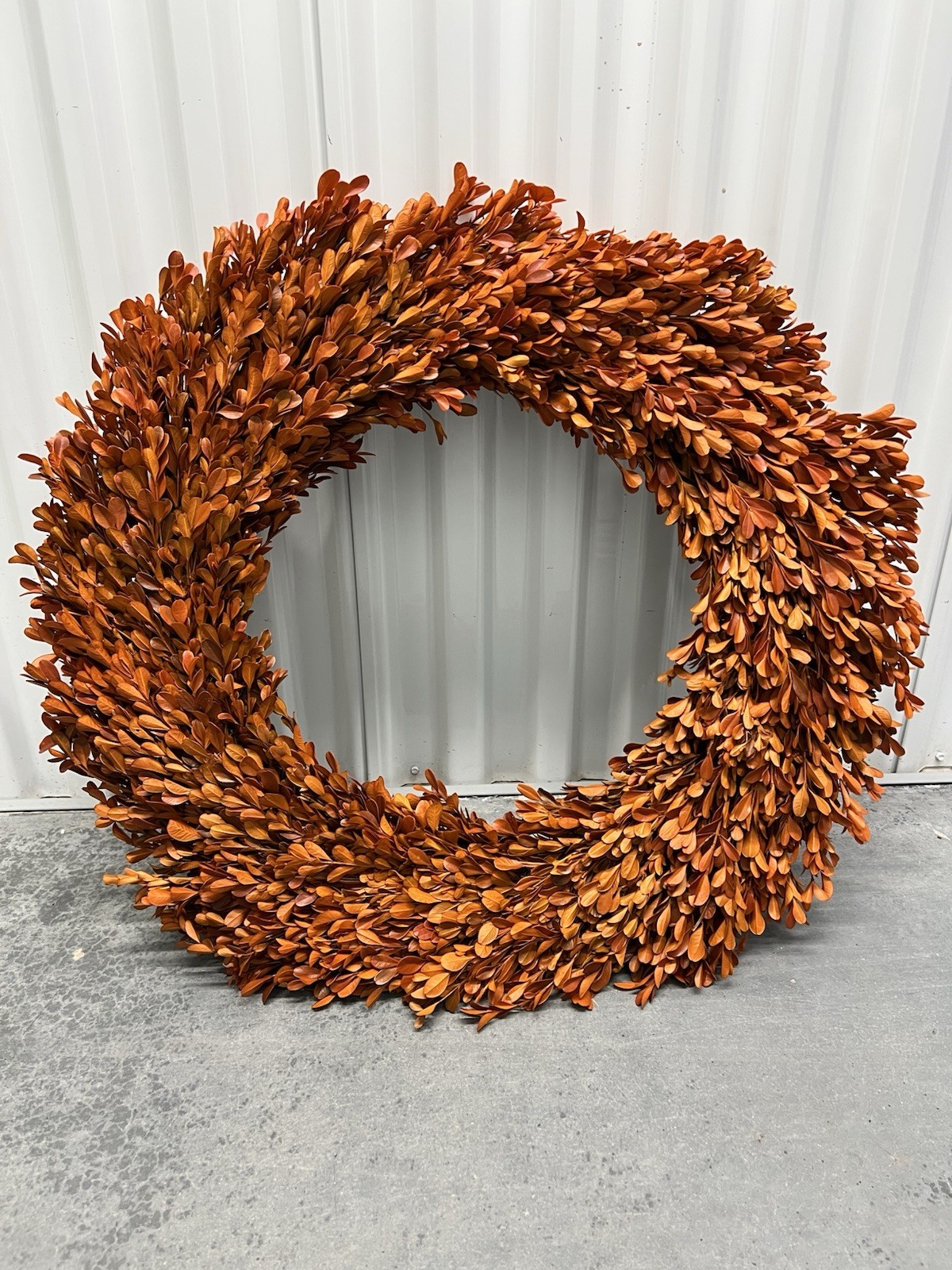 24 Inch Real Preserved Boxwood Natural Wreath Fall Decor Thanksgiving