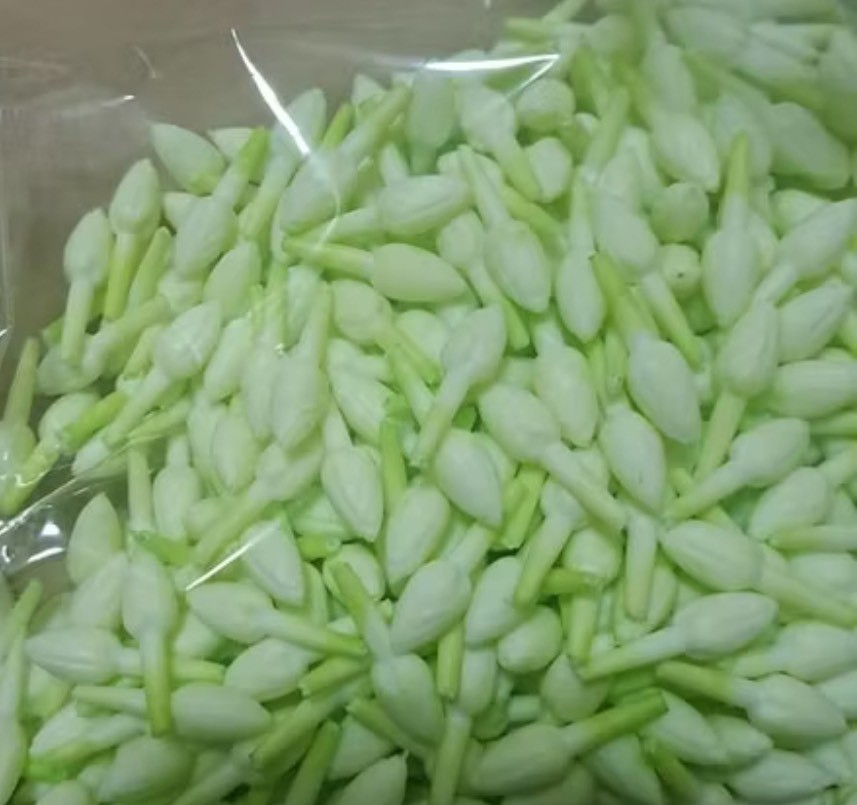 500 Jasmine Flowers Blossom Thai Artificial D.I.Y Handcrafts Malai Decorative
