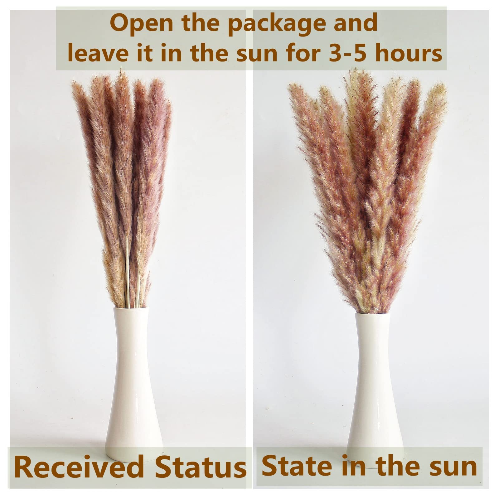 110 PCS of Boho Pampas Grass Decor, Naturally Dried Pompas, Bunny Tails Dried…
