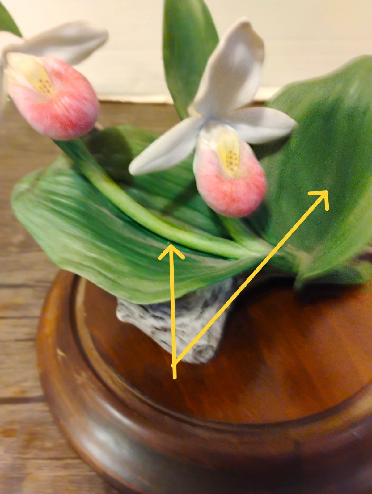 Bisque ‘Lady Slipper’ Cluster Celebrating Bachman’s Floral 100th Anniversary