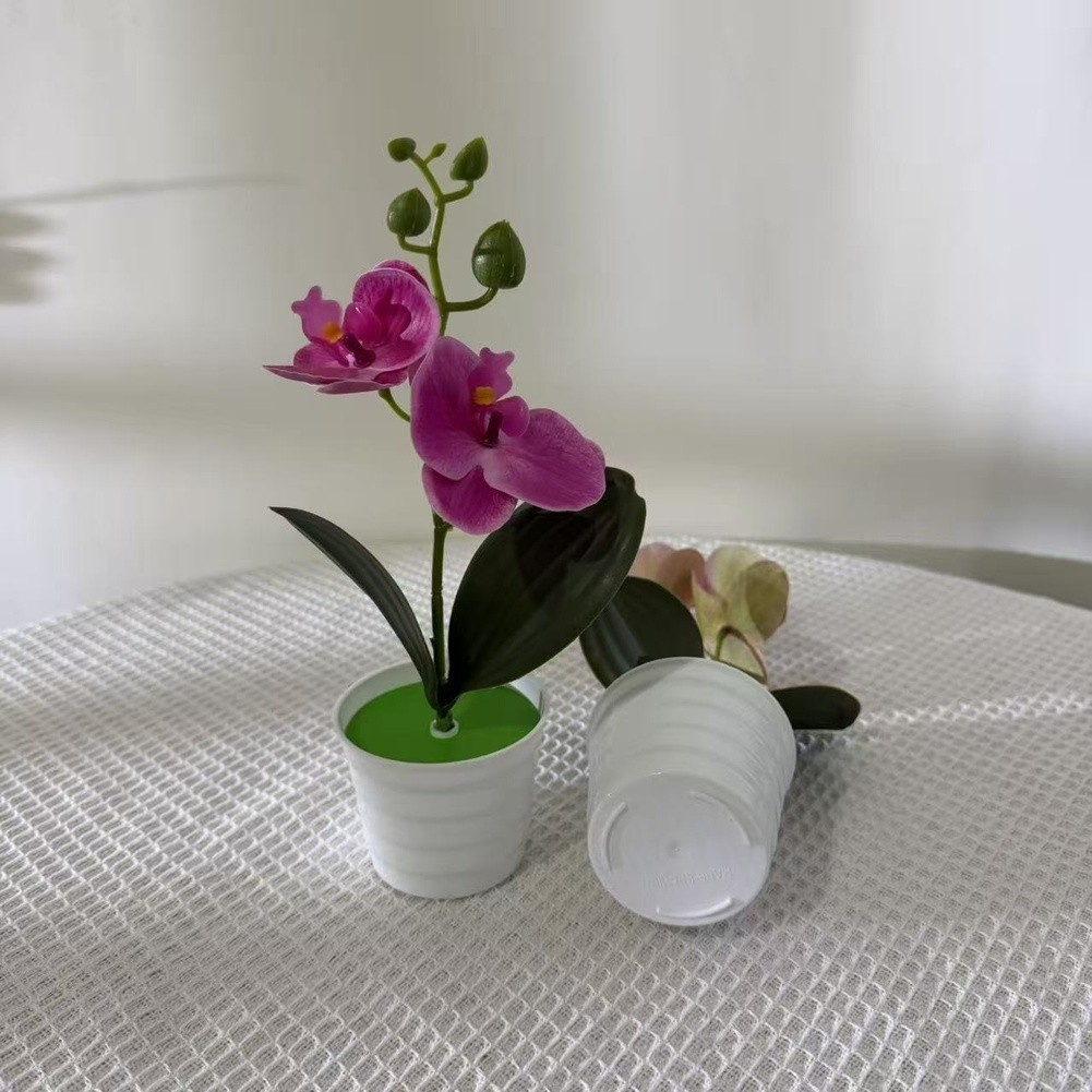 Fake Orchid Plant Phalaenopsis Type for Living Room Bedroom Study Decor Plastic