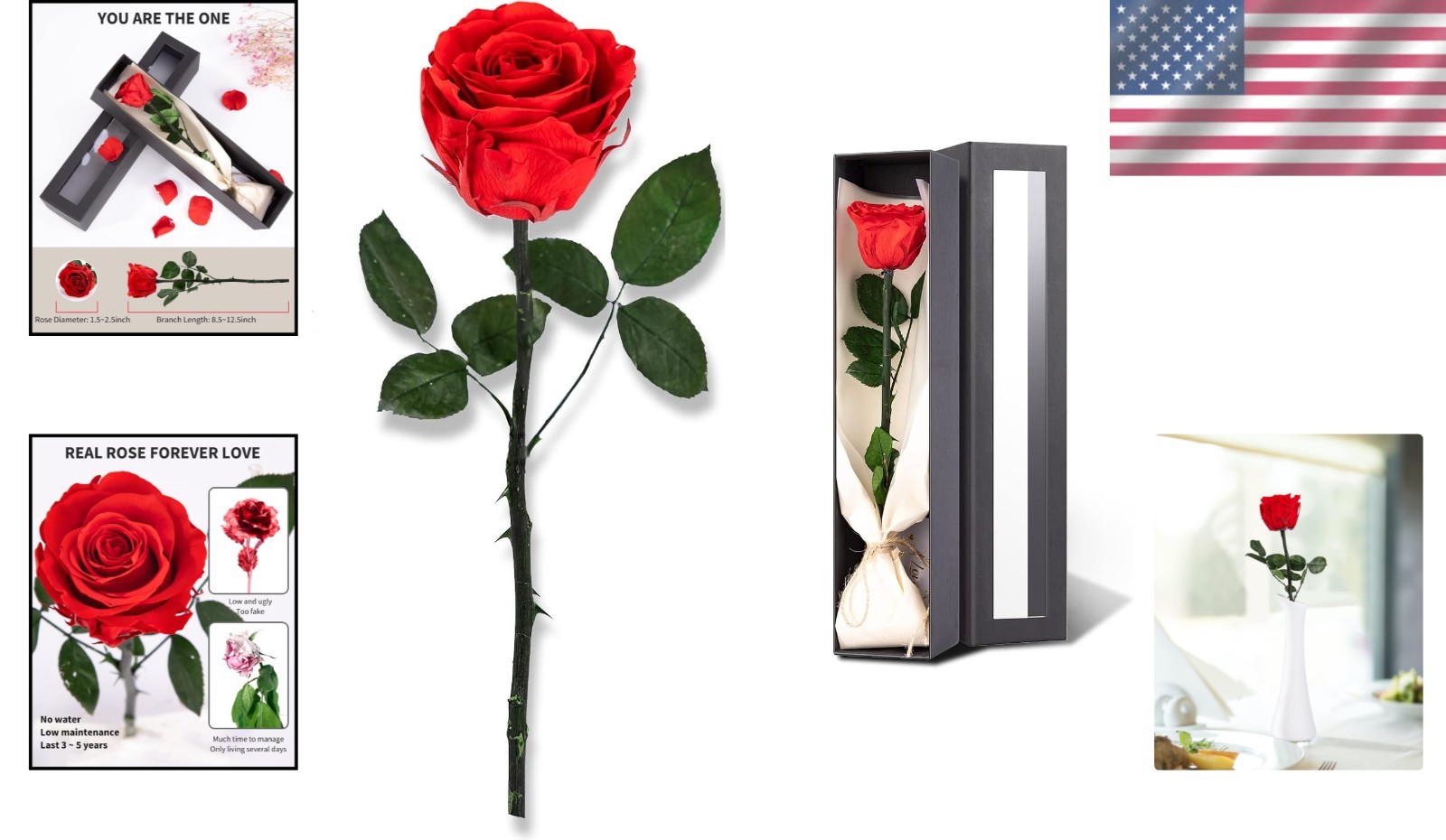 Single Preserved Rose Gift – Timeless Flower Gift for Women on Special Occasions