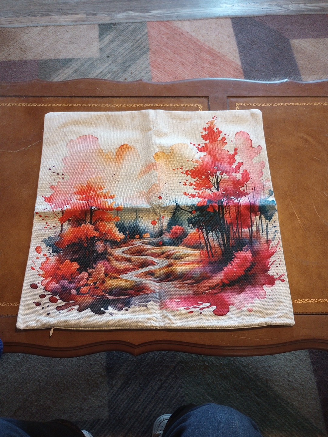 2 Throw Pillow Covers