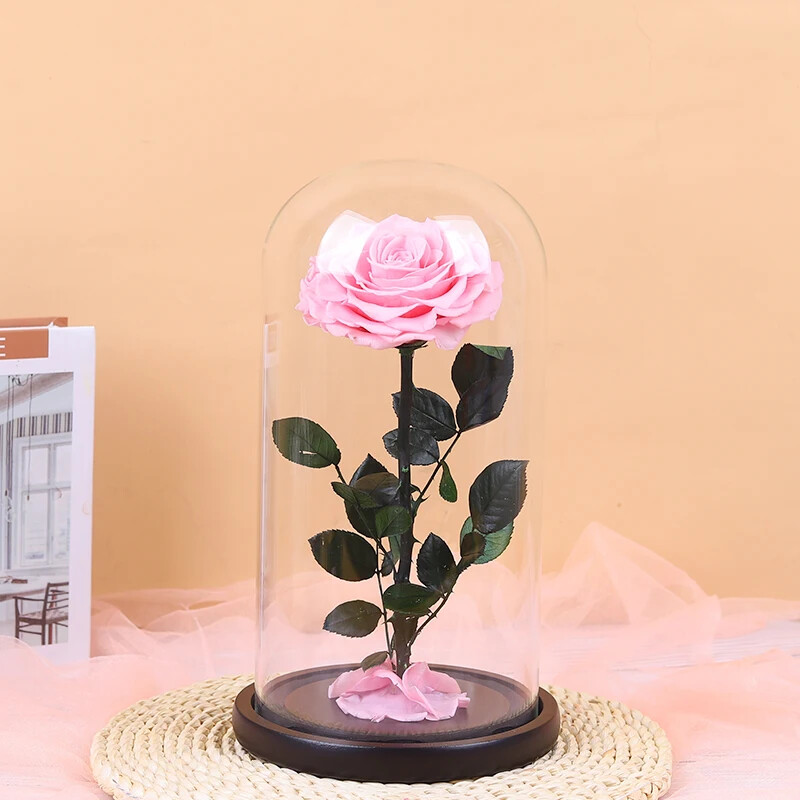 Unbreakable Love: Immortal Preserved Rose Dome – Valentine’s Day Gift