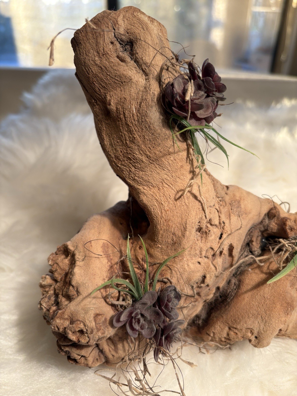Grapewood Branch Natural Rare Piece Decorative With Colored Succulent Grass