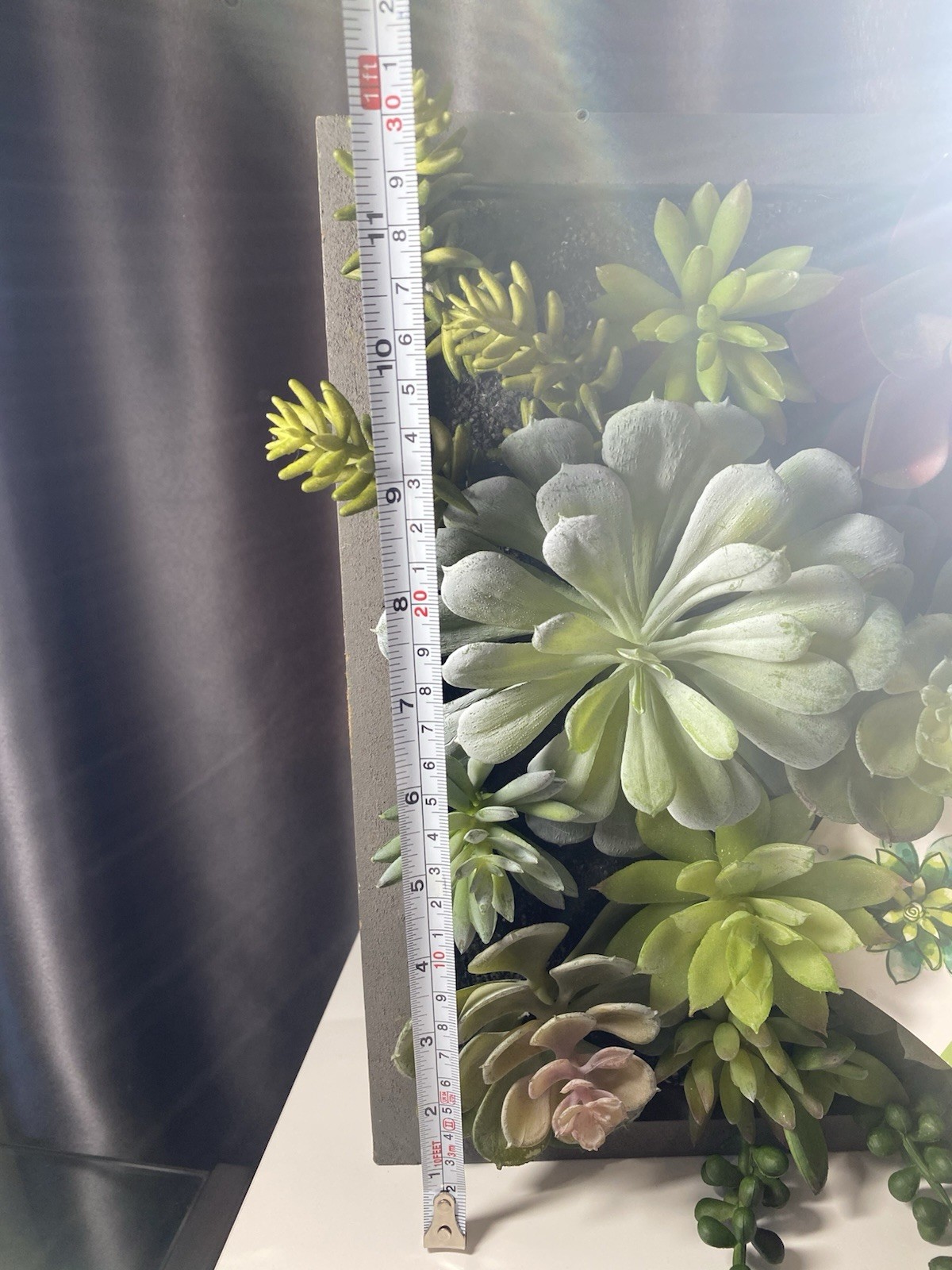 WALL OF FAUX SUCCULENTS in Gray Wood Box Decor Display 12x11x3 inches Art