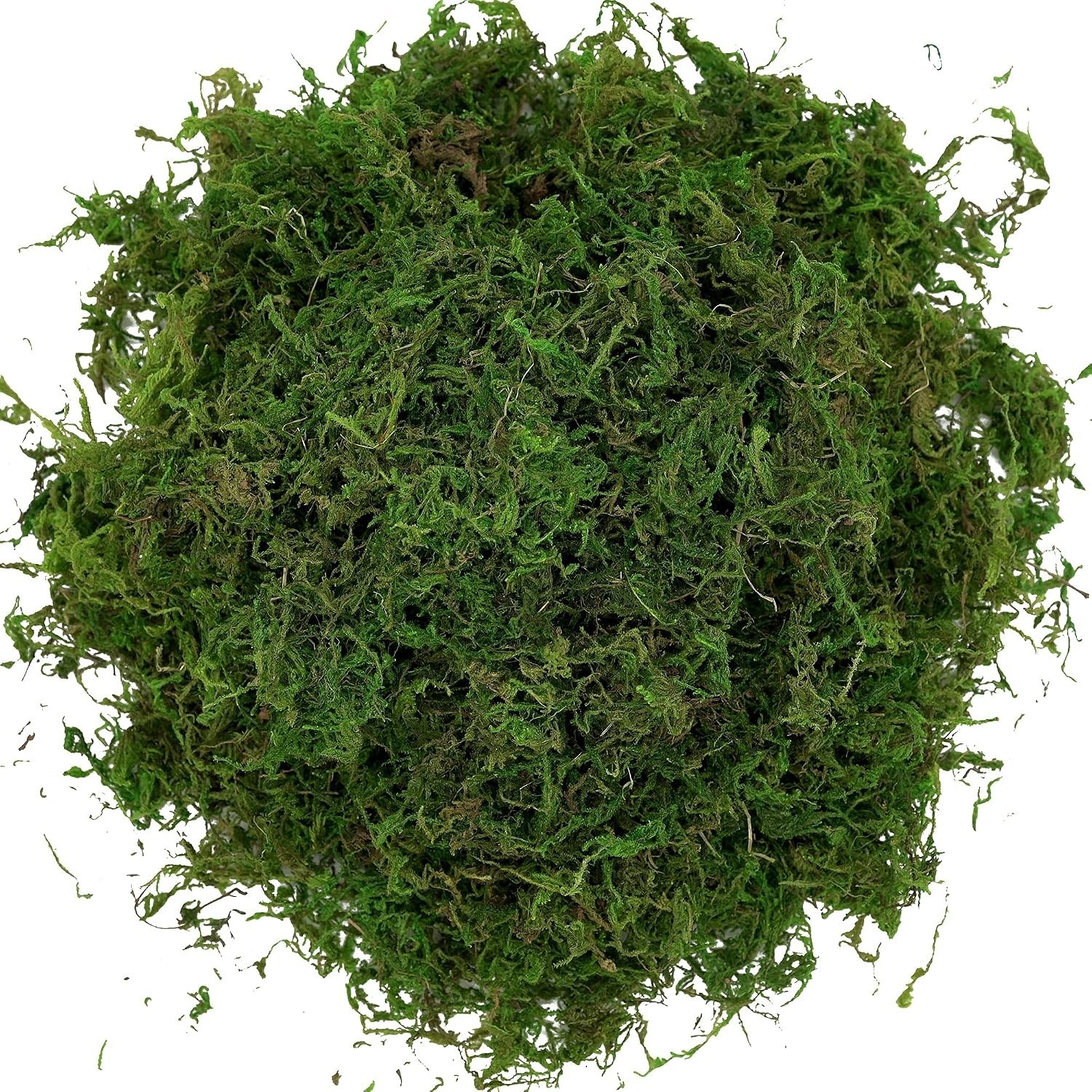 Artificial Moss Fake Green Mini Garden Crafts Decor Floral Arrangements