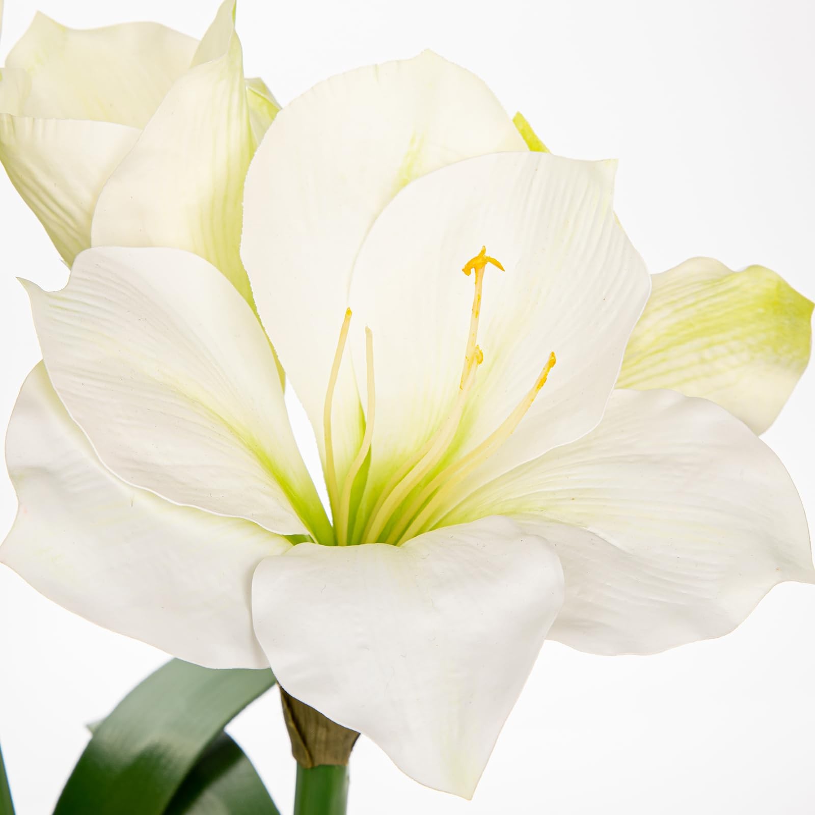 Amaryllis Artificial Flowers in Blue Ceramic Pot 18.1″ Faux White Amaryllis F…