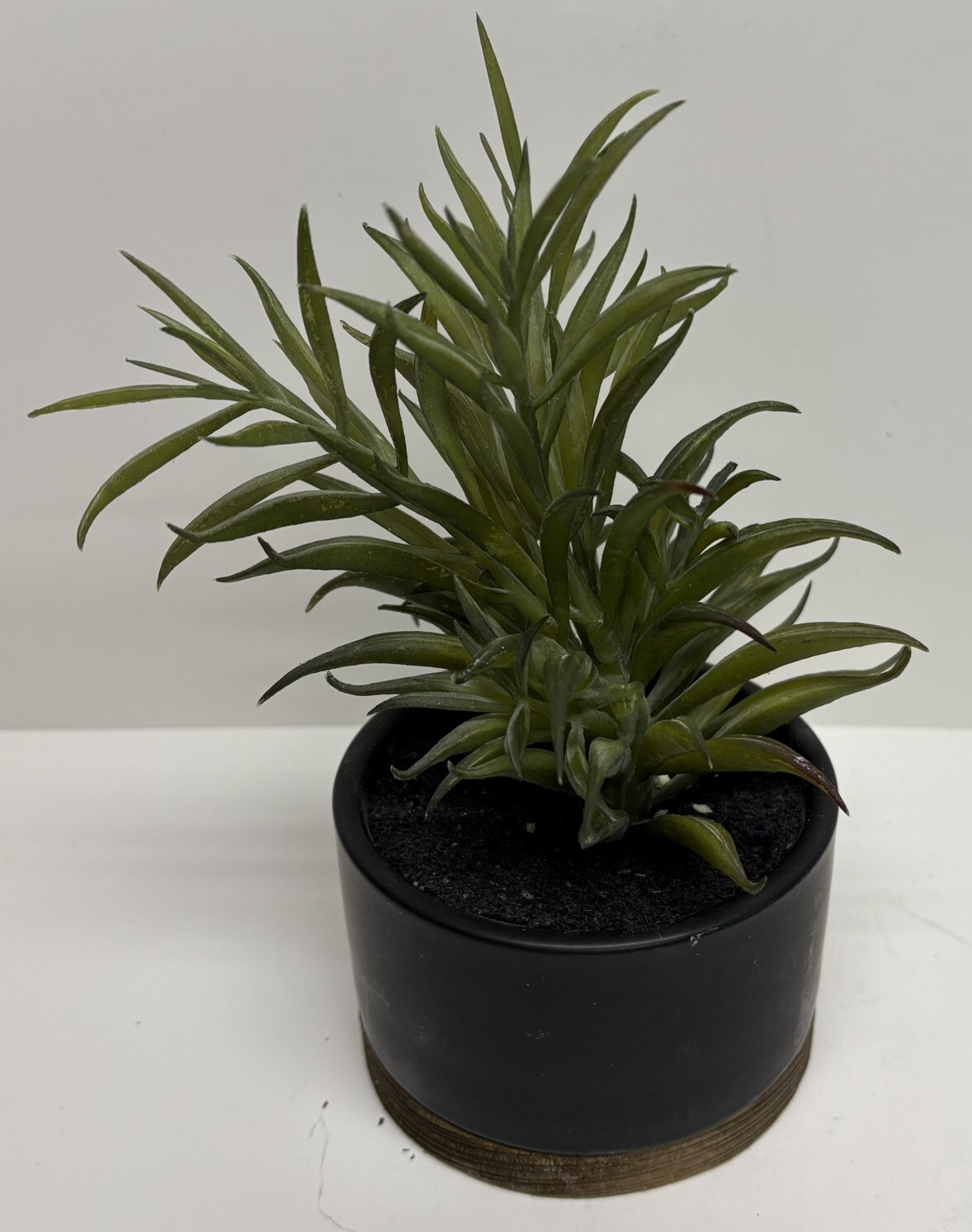 Threshold Potted Faux Succulent Plant Indoor Plant Porch Decor