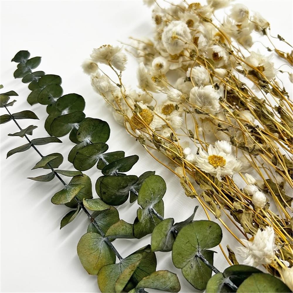 Pemberly Row 10-inch High Real Preserved Mixed Bouquets in Small Size