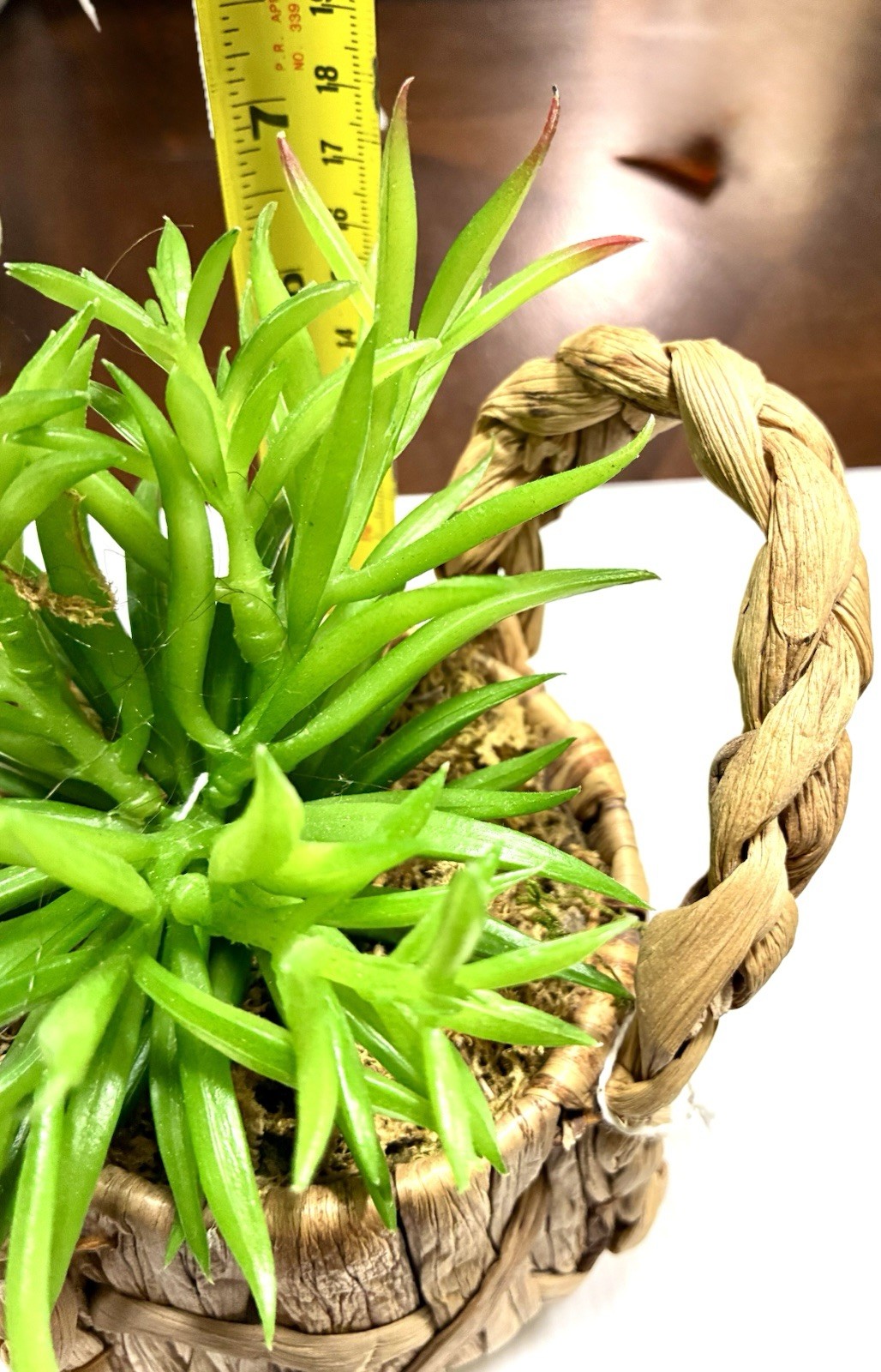 Artificial Faux Succulent Potted Plant In Basket Home Office Shelf Decor