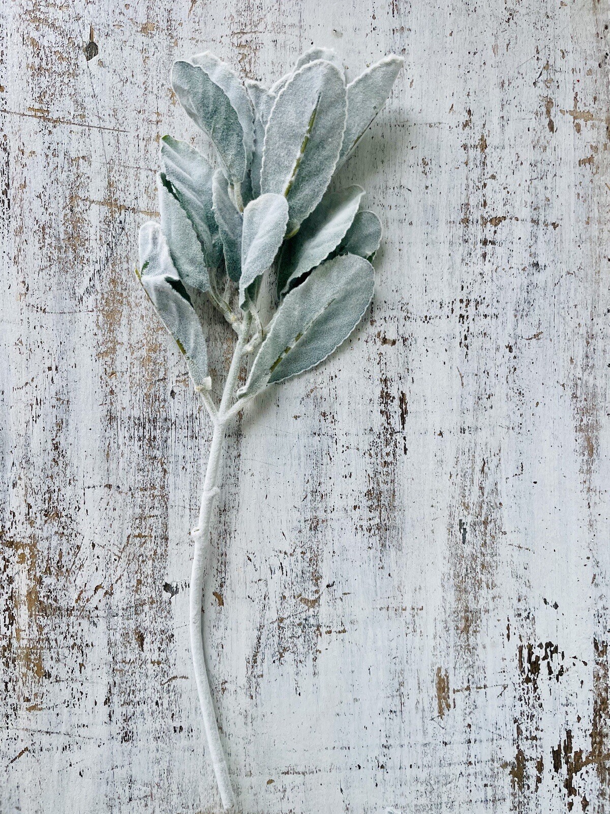Frosted Lamb’s Ear Pick, 15” Bundle Of 3 Floral Arrangements Greenery New