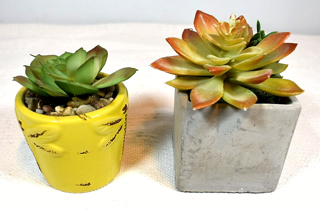 Echeveria & Echeveria/Jade Mix ARTIFICIAL SUCCULENT PLANTS, Set of 2 In Pots
