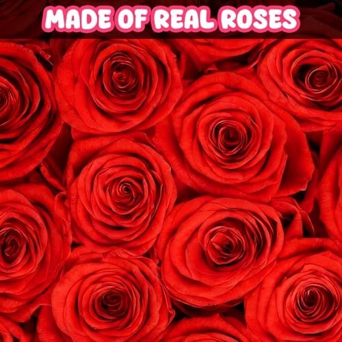 27 Fresh Preserved Roses in Heart Box – Eternal Real Flowers for Her, Anniversar