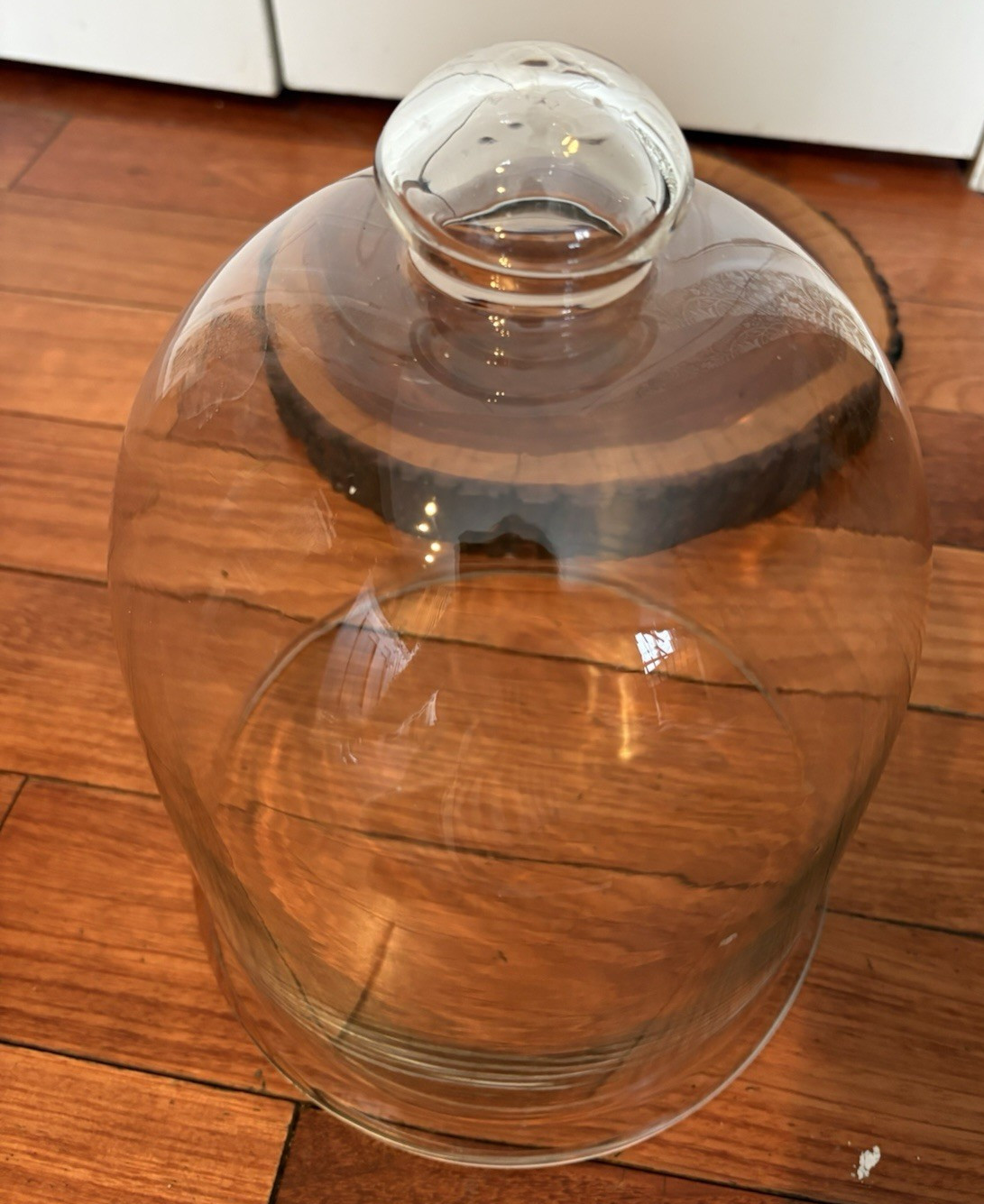 Glass Terrarium Cloche Dome Cover with Top Knob Rustic Wood Base Live Edge
