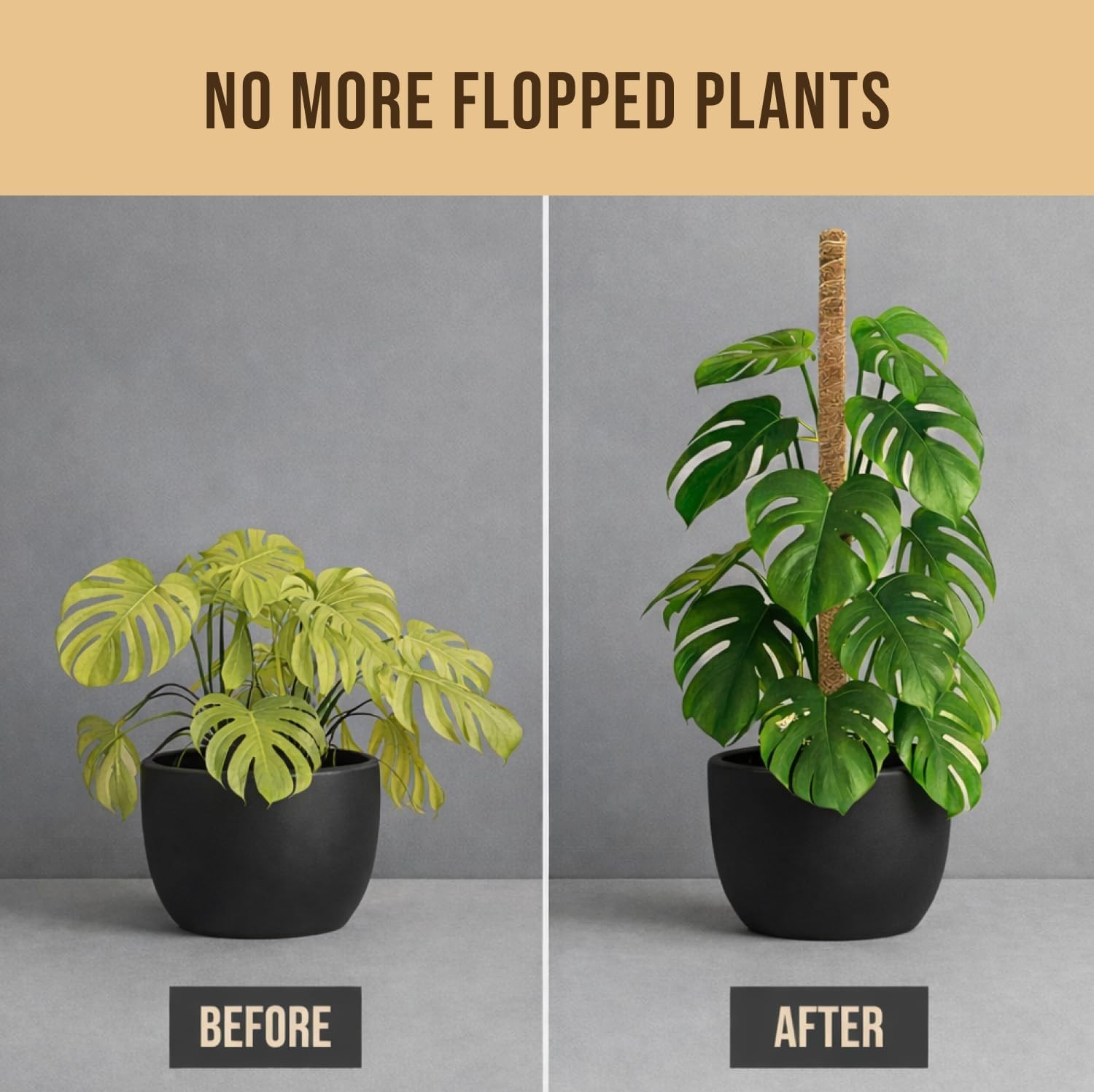 Moss Pole Monstera Plant Support – 2 Pack 28” Bendable Moss Pole Monstera