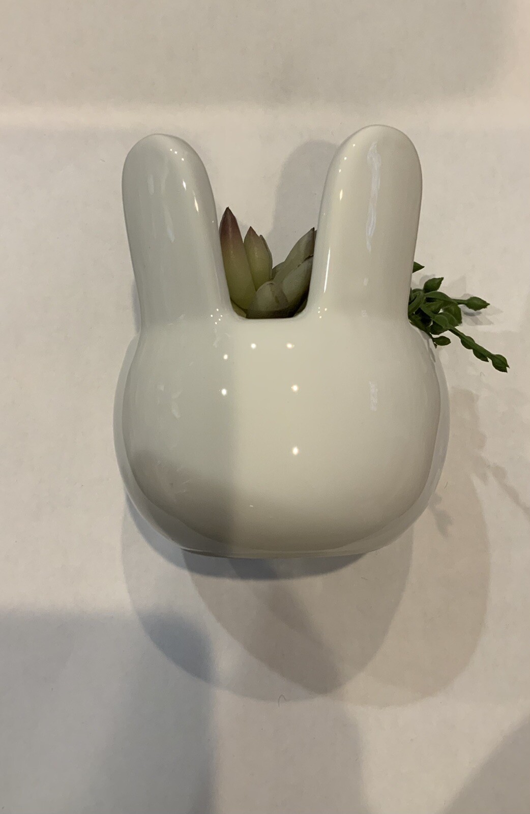 Target Bullseye’s Playground Easter White Bunny Cactus Artificial Succulent NEW