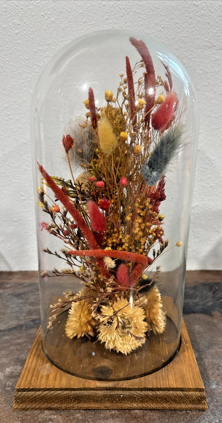 Vintage Roppolo Squirrel Diorama Dome – Mid-Century Floral Taxidermy style