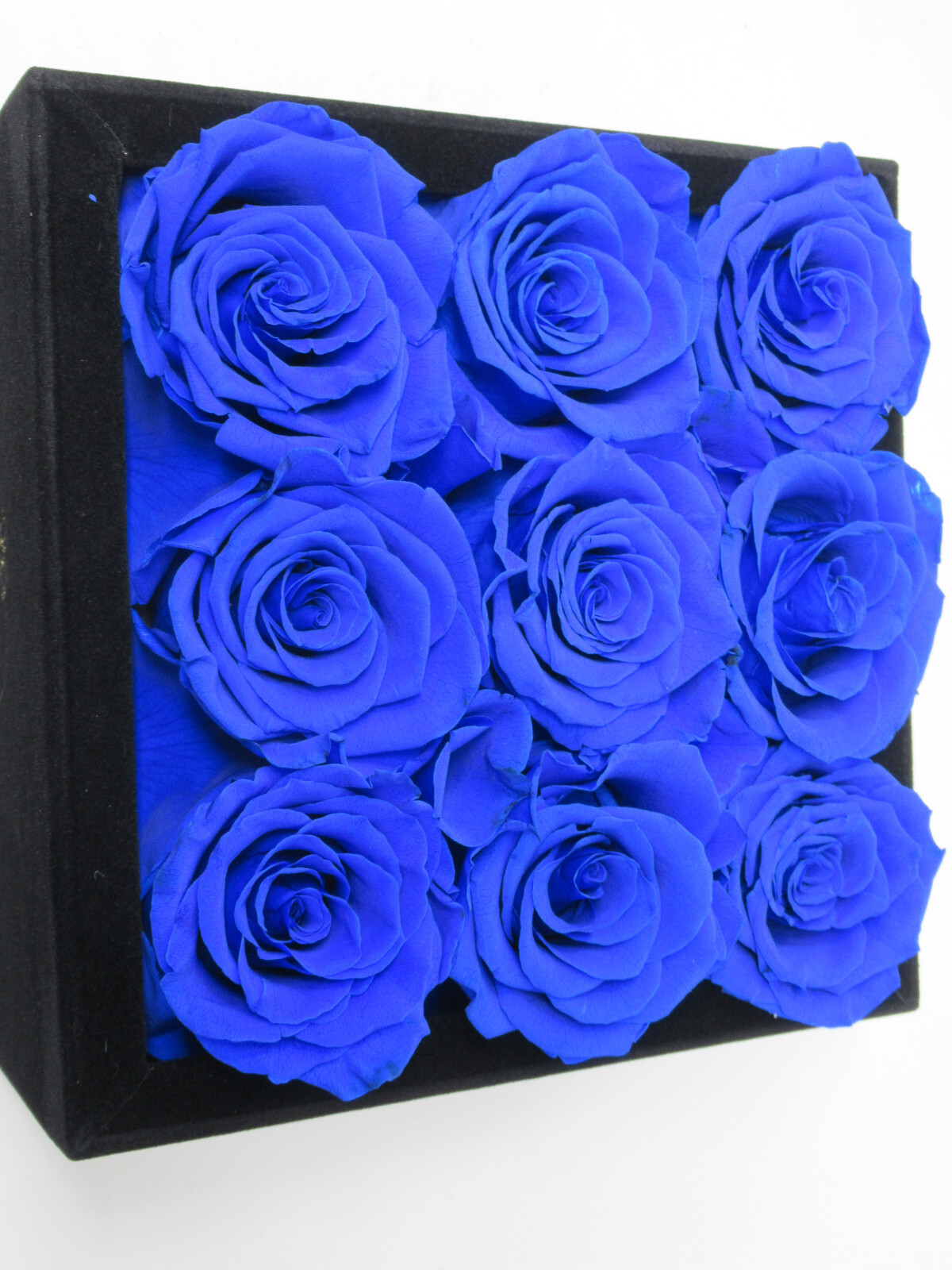9 Roses FOREVER NEW YORK Preserved Satin Rose Spiral Black Velvet Box ROYAL BLUE
