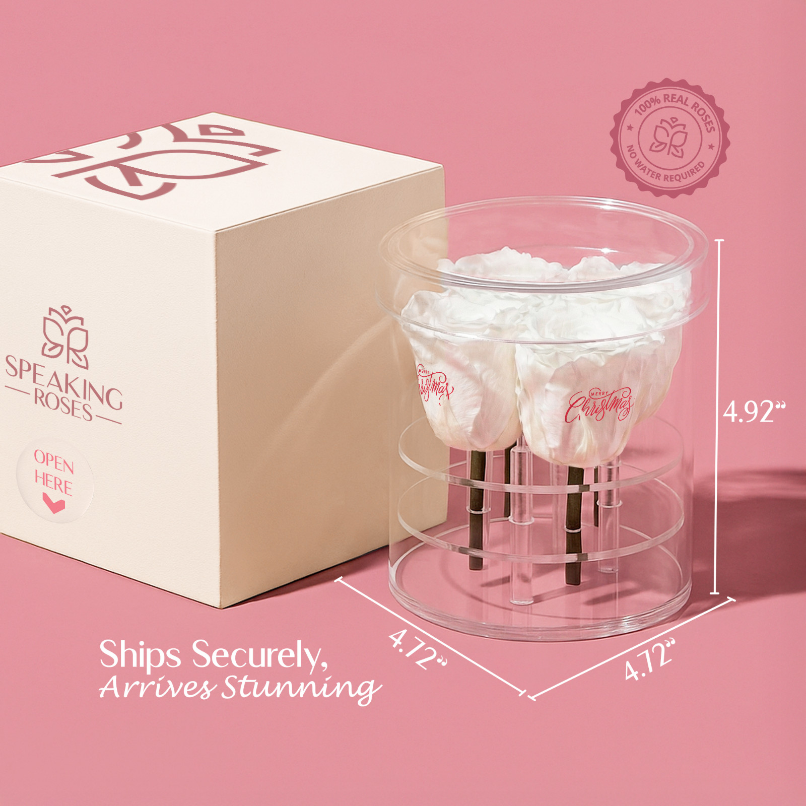 Speaking Roses Preserved Roses in Acrisse Quo Display | “Merry Christmas”