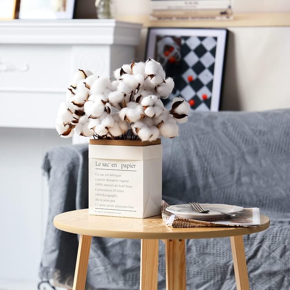 “DomeStar 30PCS Natural Dried Cotton Stems 15″” Tall, Rustic Cotton Sprigs for V