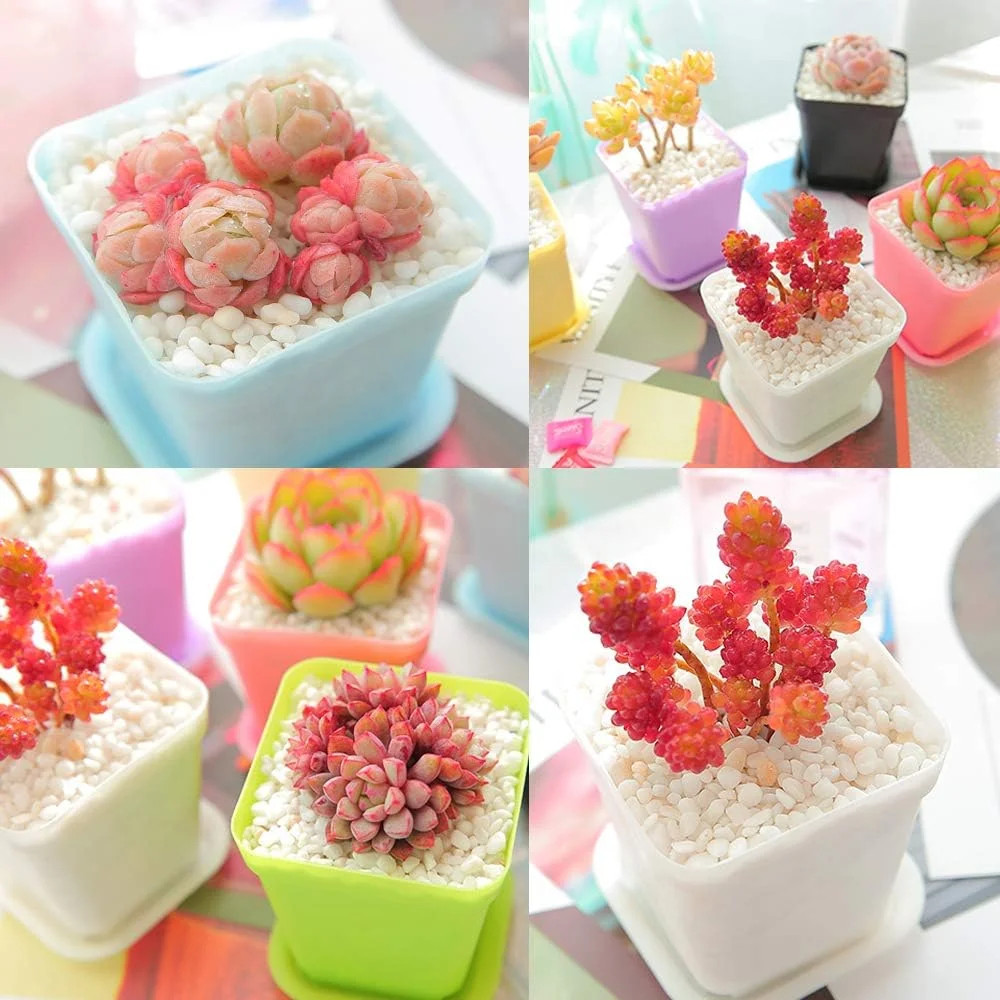 24Pack 3 Inch Plastic Plant Pots,Square Seedling Nursery Pots Succulent Flower P