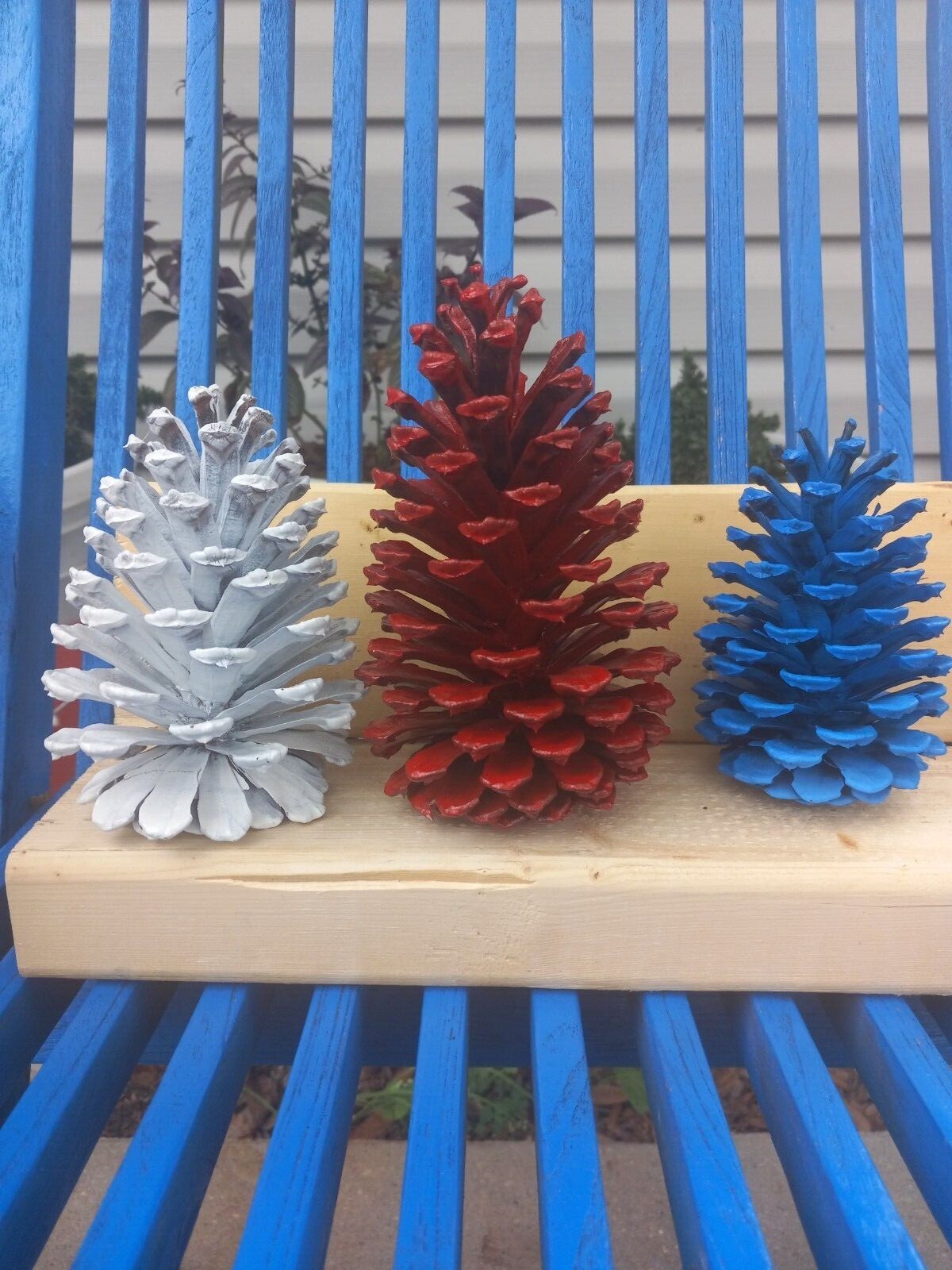 Hand painted pinecones,  various colors.  Set of 6 or 12. Fun holiday decor.
