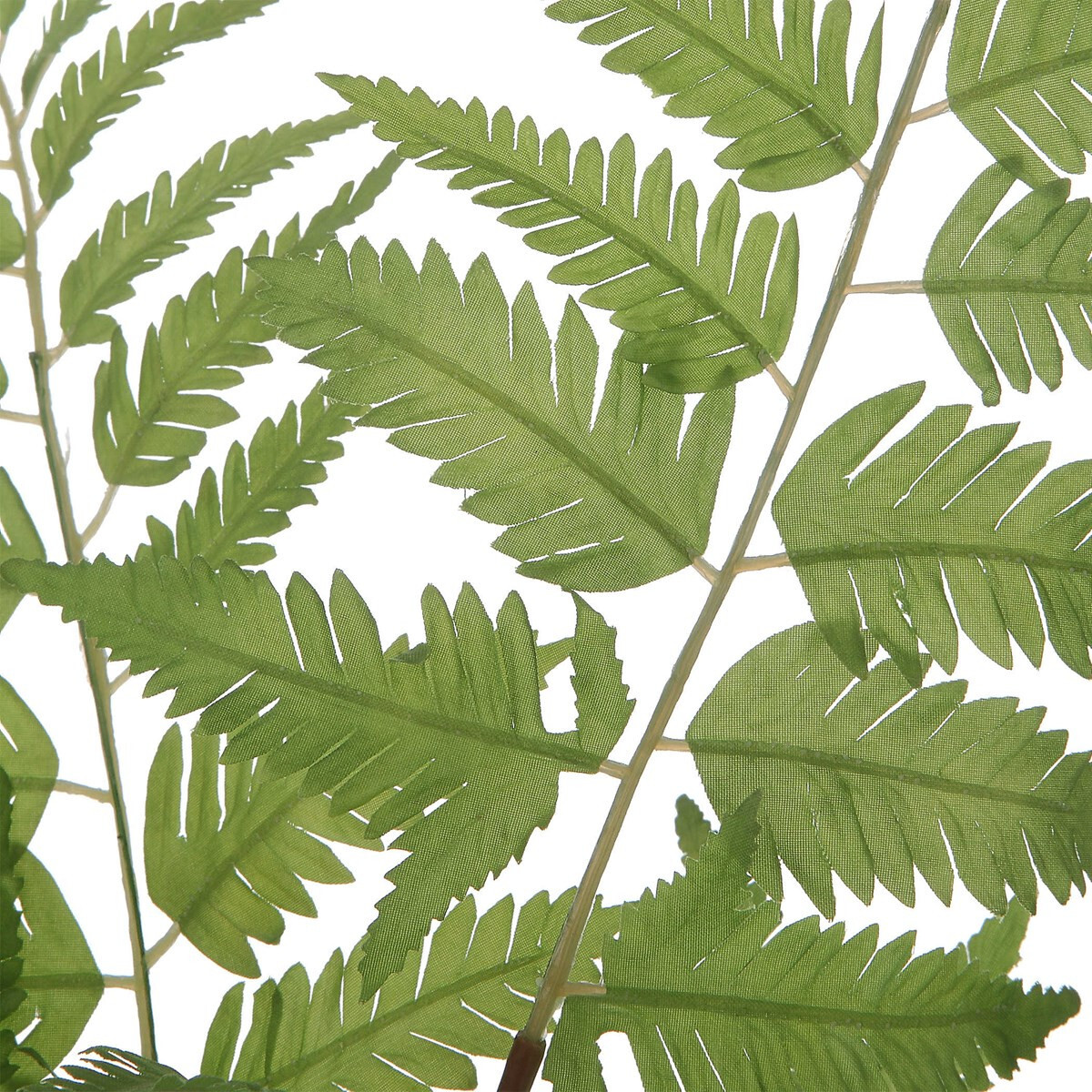 Country Green Ferns With Clear Glass ~ Set Of 2 ~ Uttermost 60202