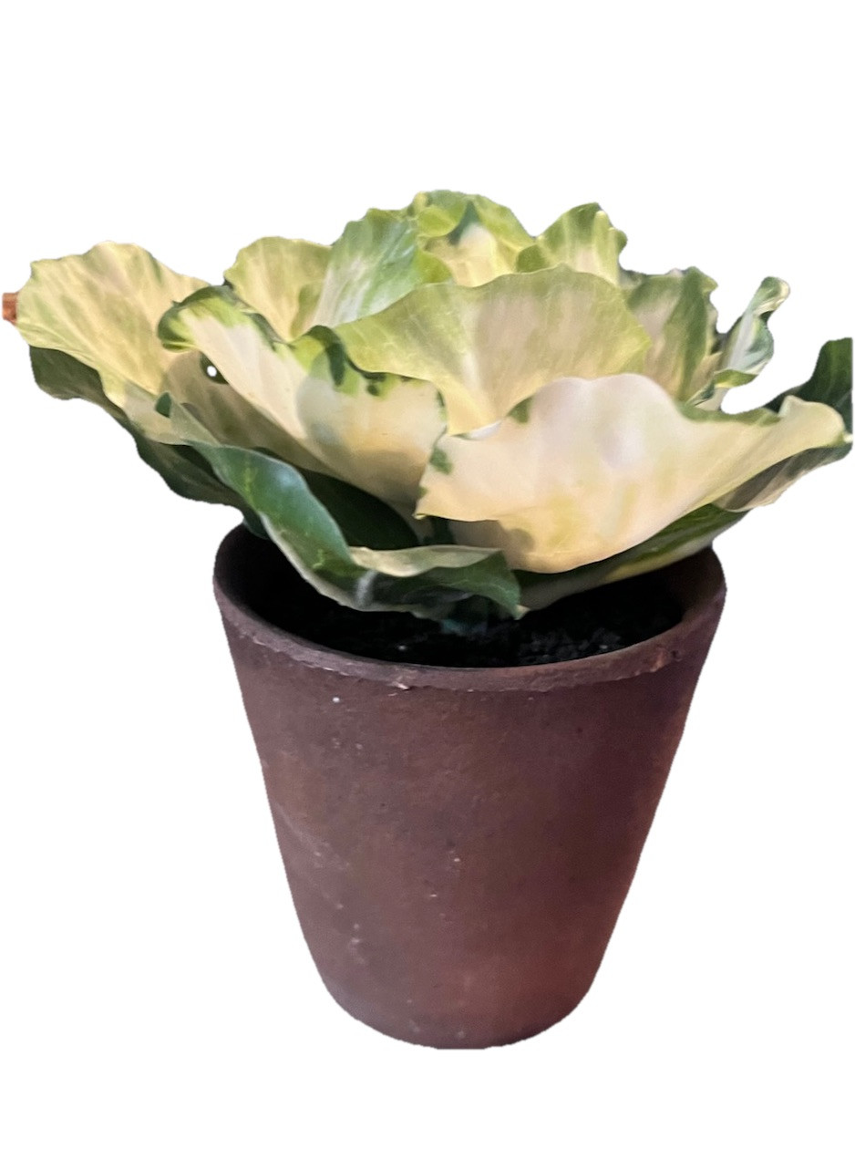 Realistic Potted Cabbage Plastic Ceramic Pot Garden Spring Easter 7inch Green