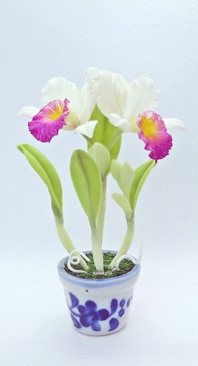 US Stock 4″H Handmade Miniature Air-Dry-Clay-Crafted Catalunya Orchid Arranged.