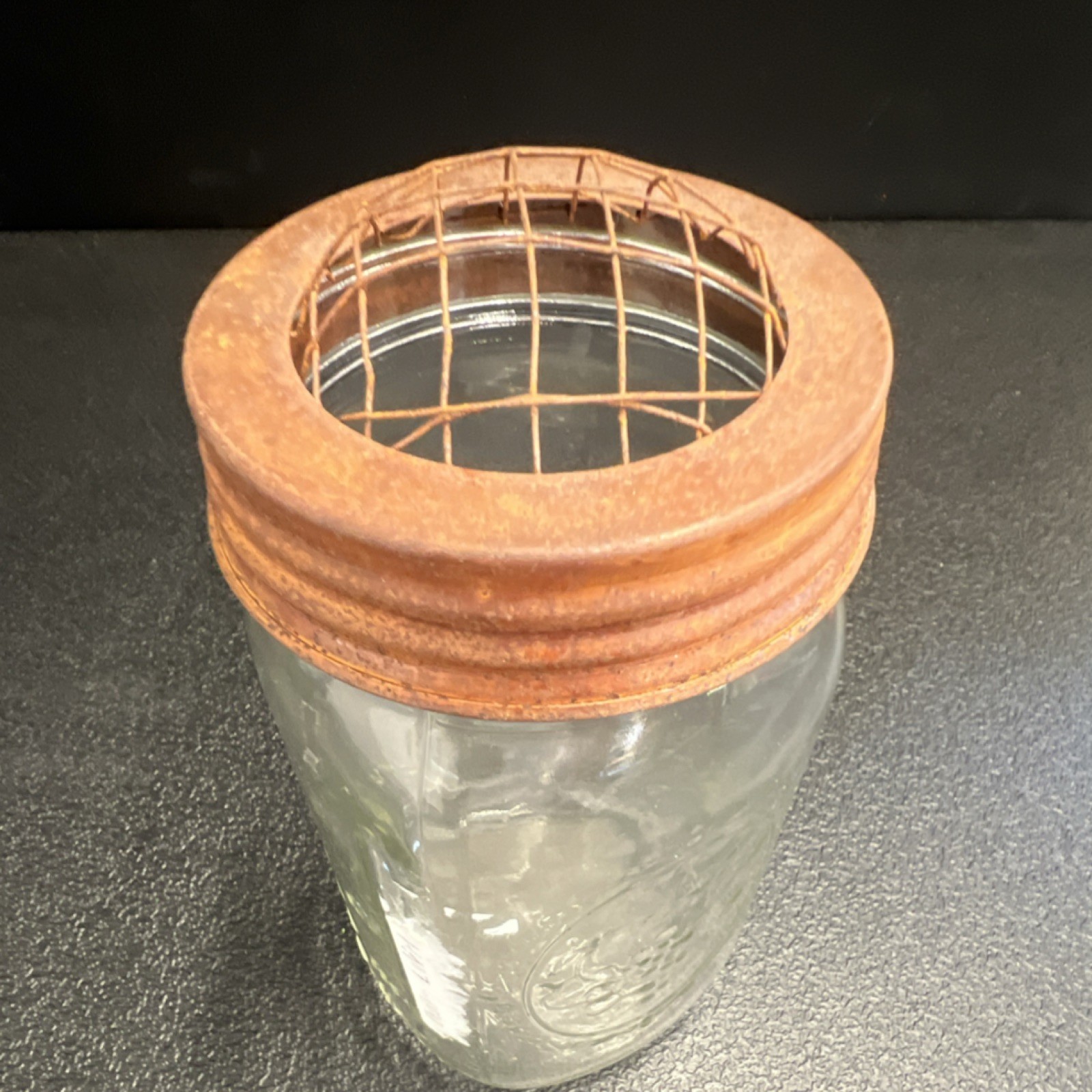 Ball Wide Mouth Glass Mason Jar Flower Vase with Metal Grid Lid