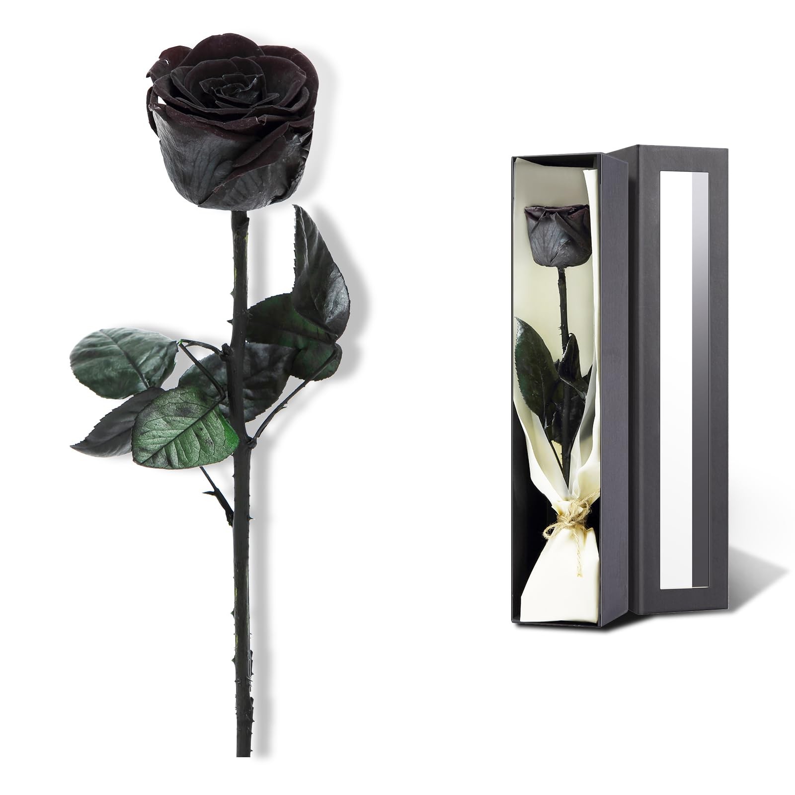 SofLiv Preserved Rose, Flowers for Delivery SingleRose, 02-black