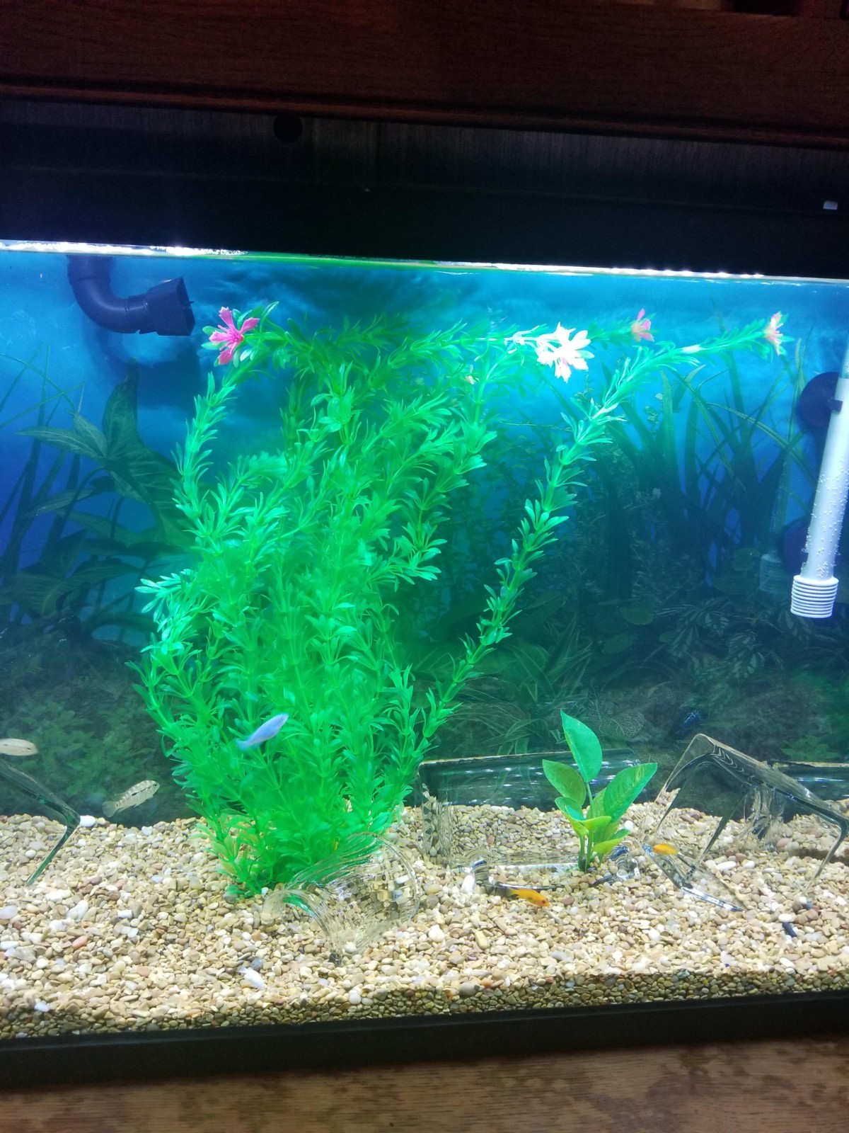 Large Green Realistic Artificial Aquarium Plants Fish Tank Plastic Plants 23 In