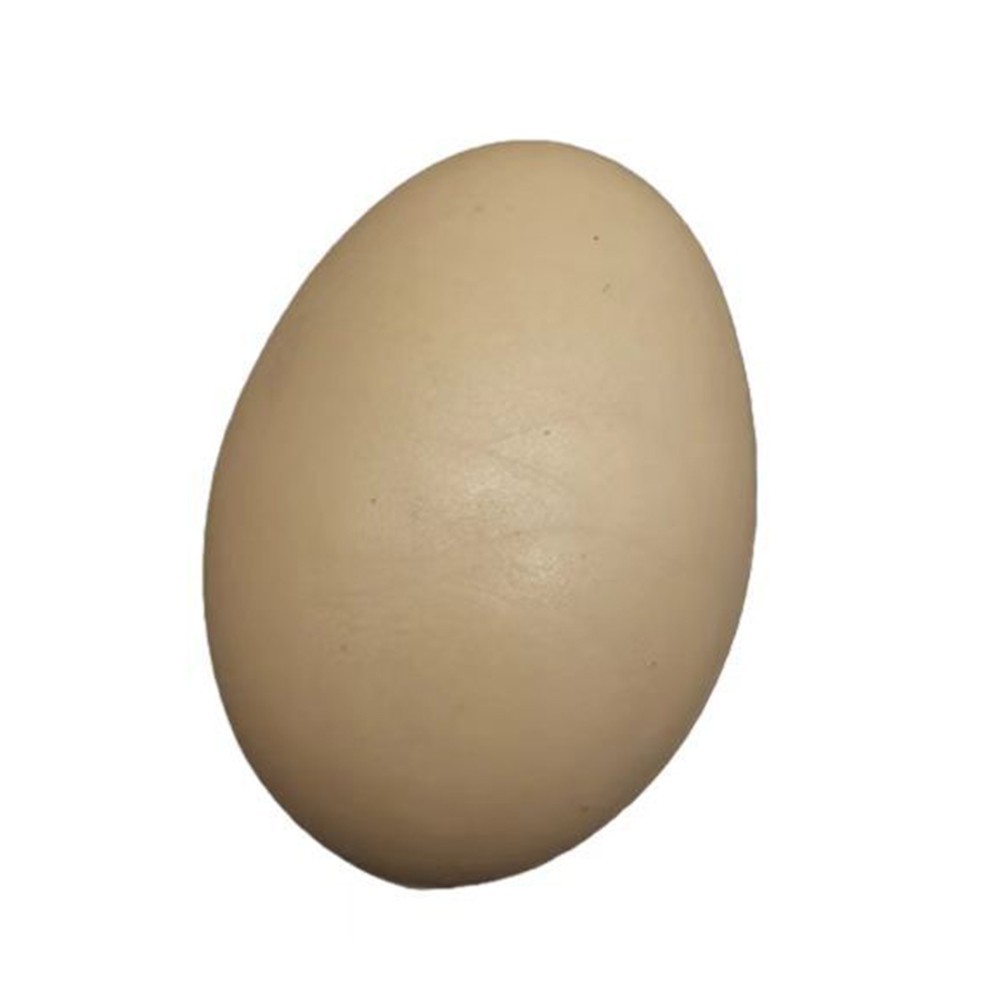 12 PCS Realistic Painted Eggs for Home Decoration Crafts and Role Playing Games